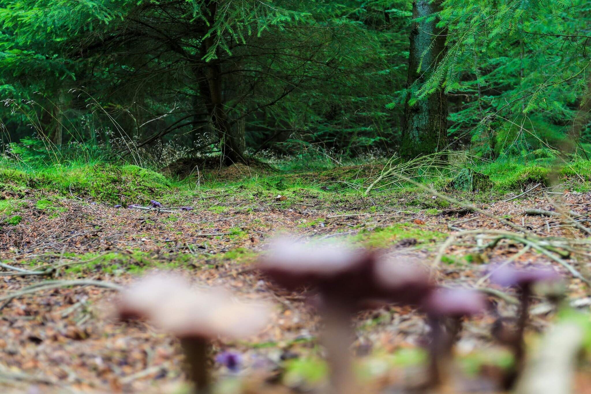 4 persoons vakantie huis in Hovborg-By Traum-Niet-getagd