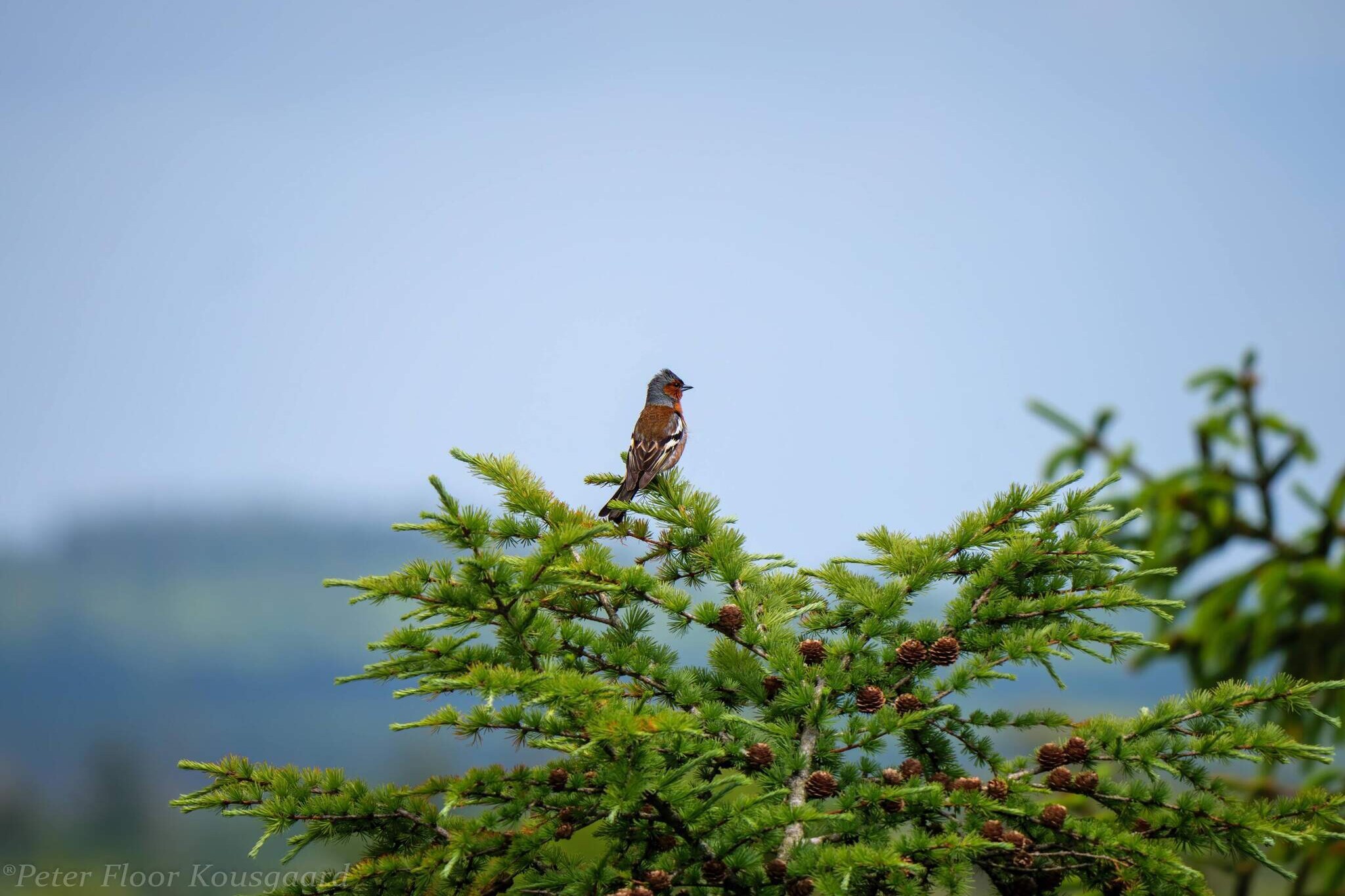 4 persoons vakantie huis in Hovborg-By Traum-Niet-getagd