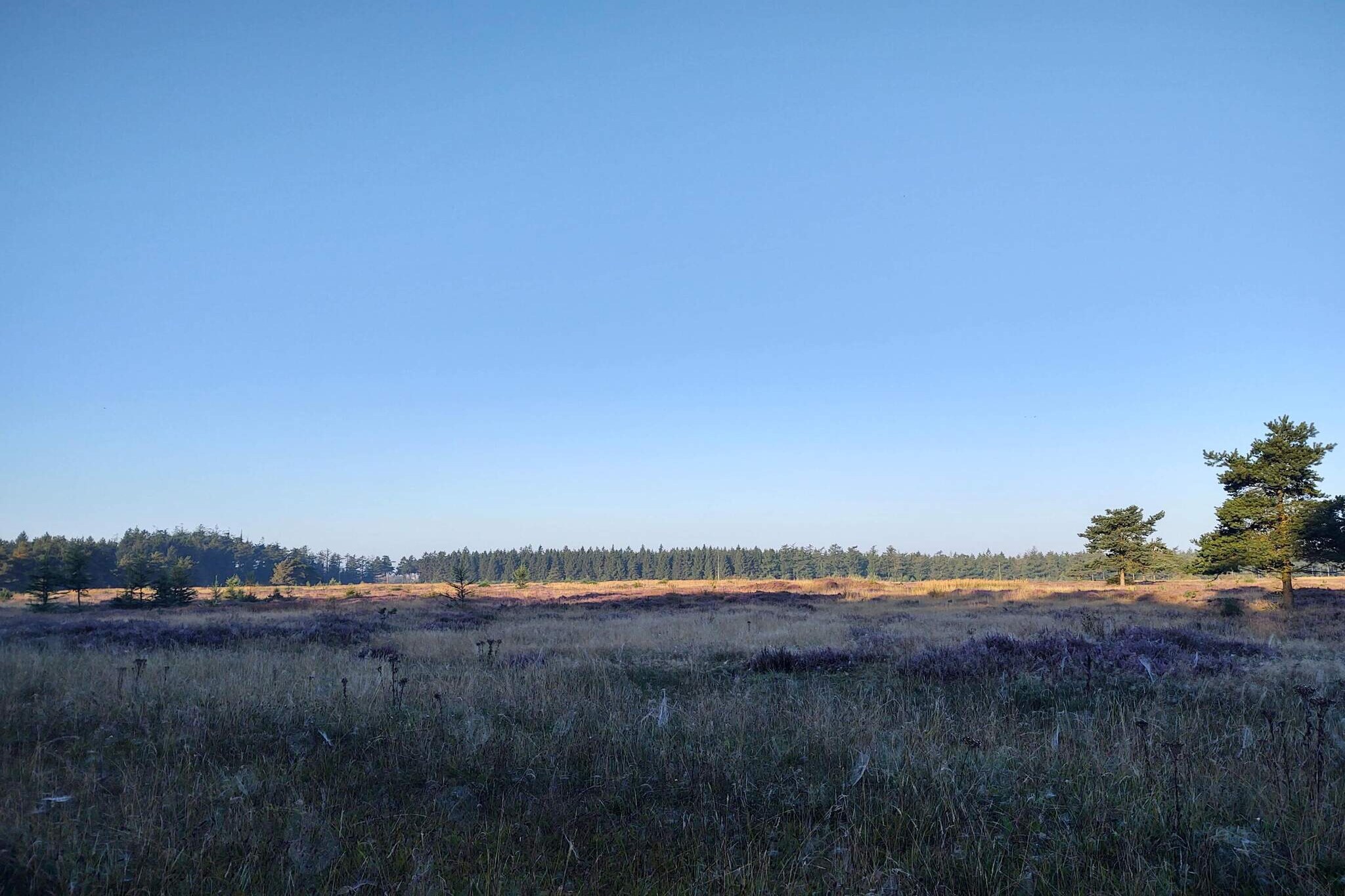 4 persoons vakantie huis in Hovborg-By Traum-Niet-getagd