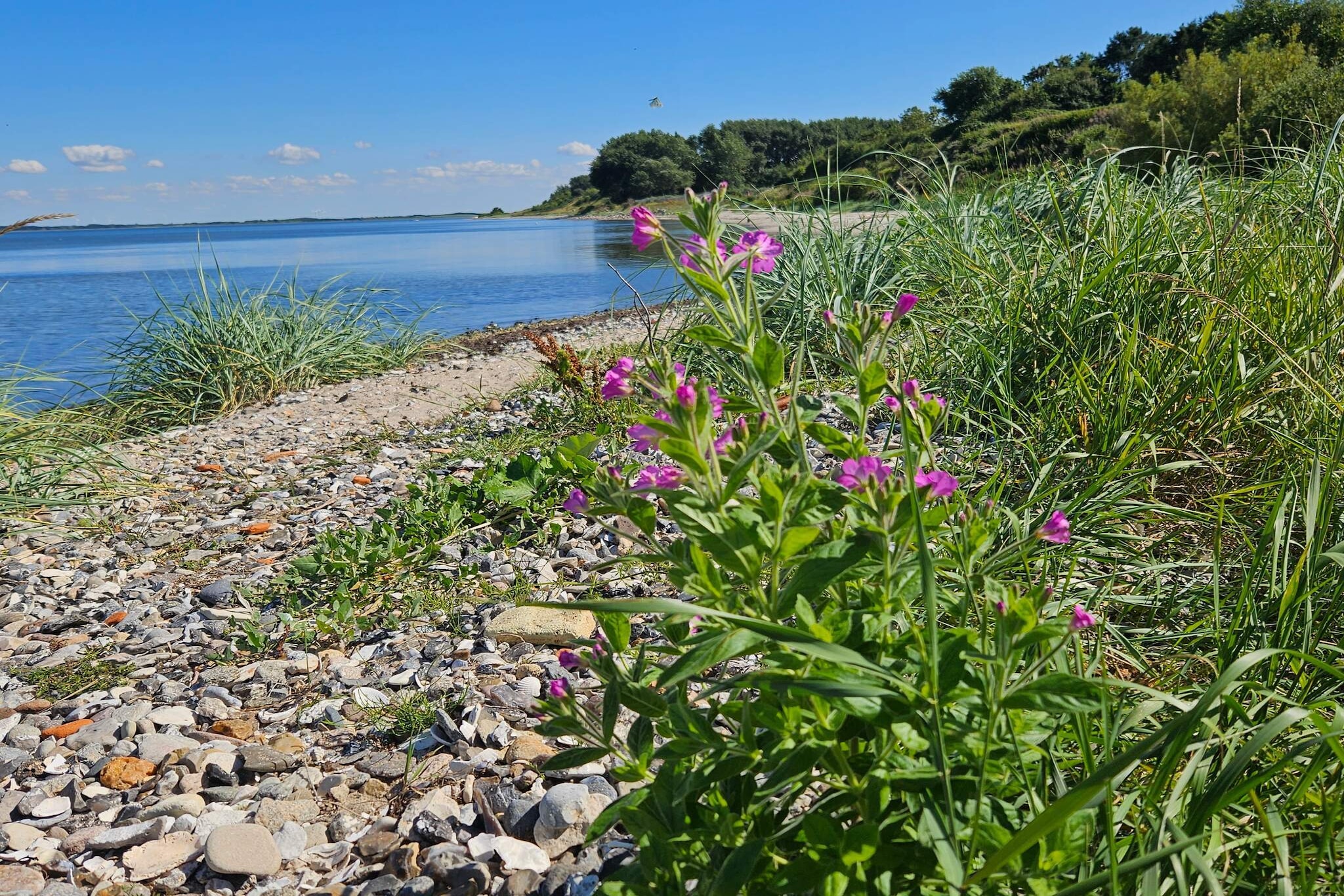 4 persoons vakantie huis in Nykøbing M-By Traum - Waterzicht