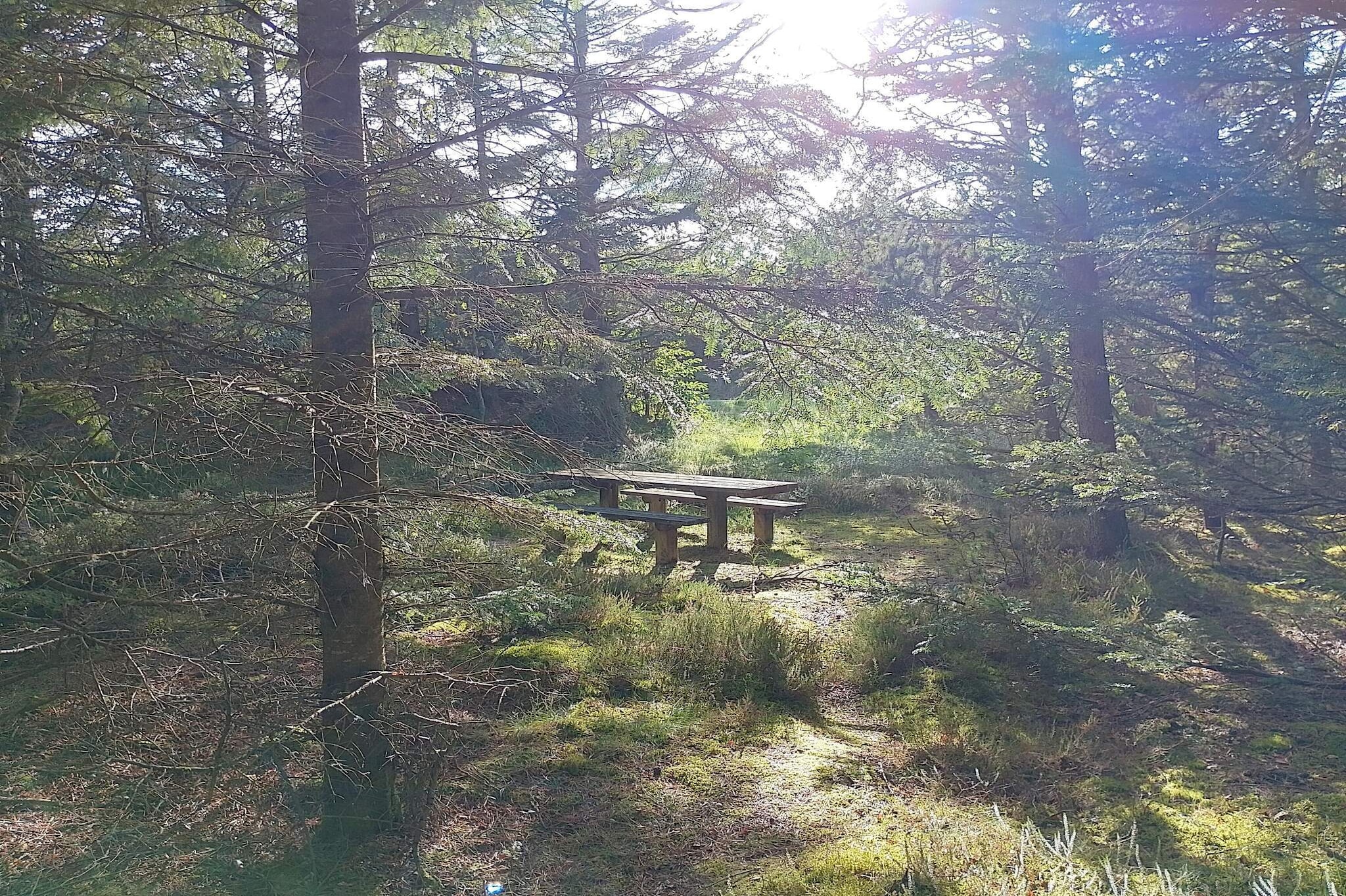 Maison de vacances pour 7 a Frøstrup