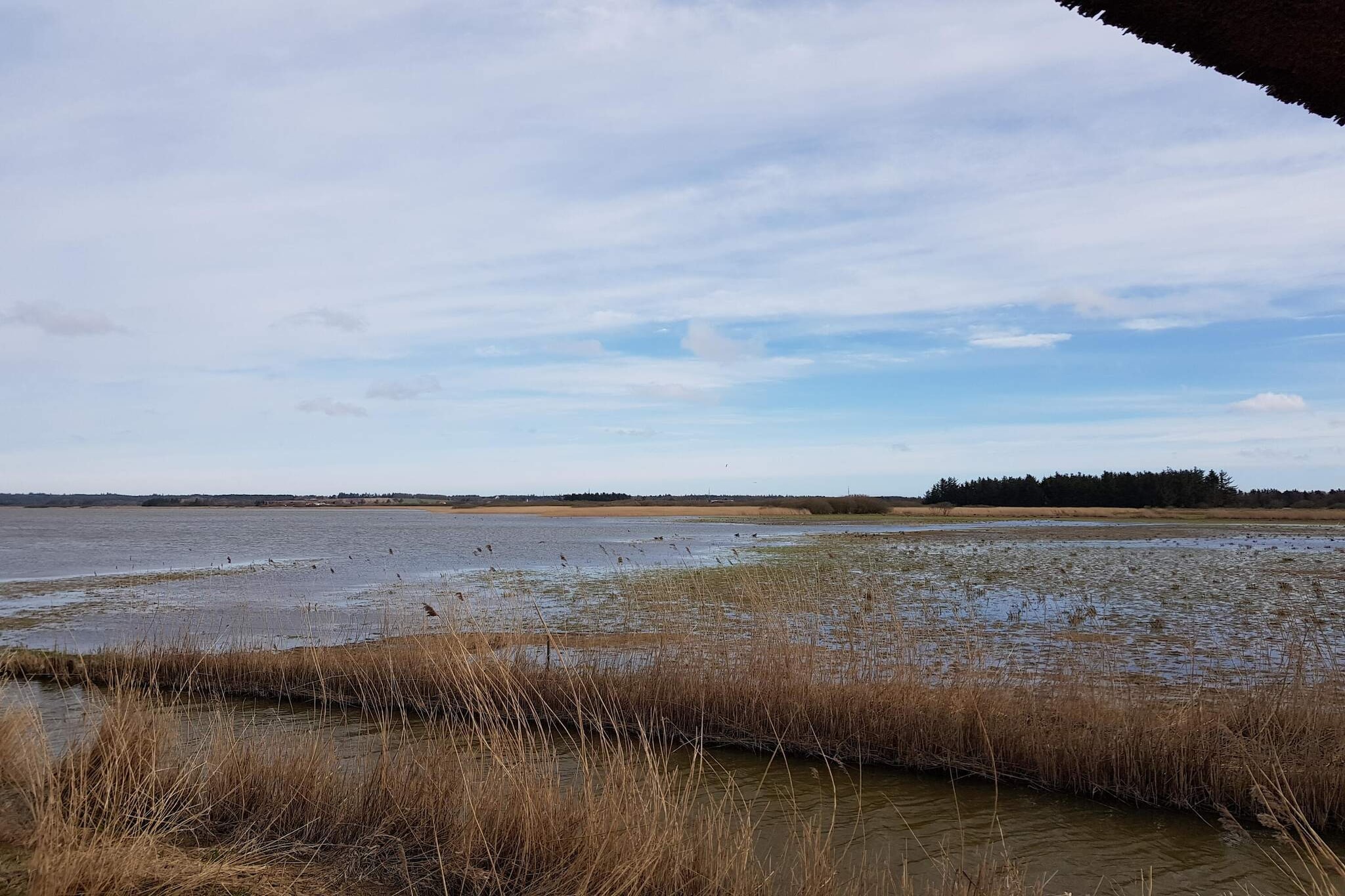 Maison de vacances pour 7 a Frøstrup-Vue sur l'eau