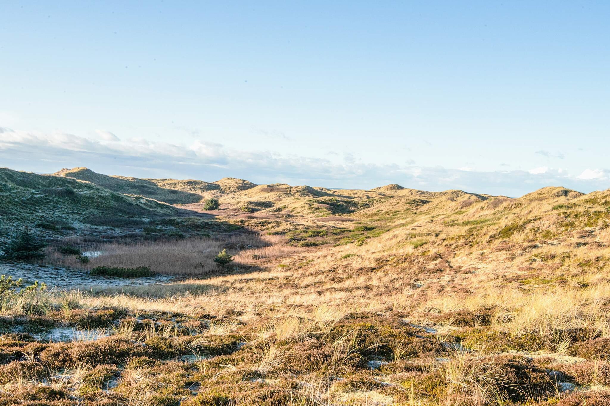 6 persoons vakantie huis in Henne-By Traum - Waterzicht