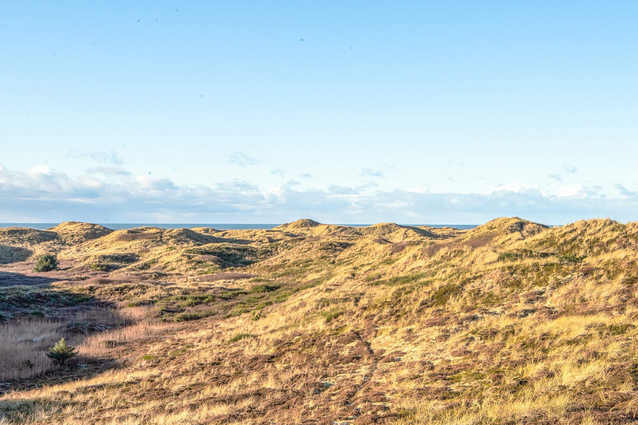 6 persoons vakantie huis in Henne-By Traum - Waterzicht