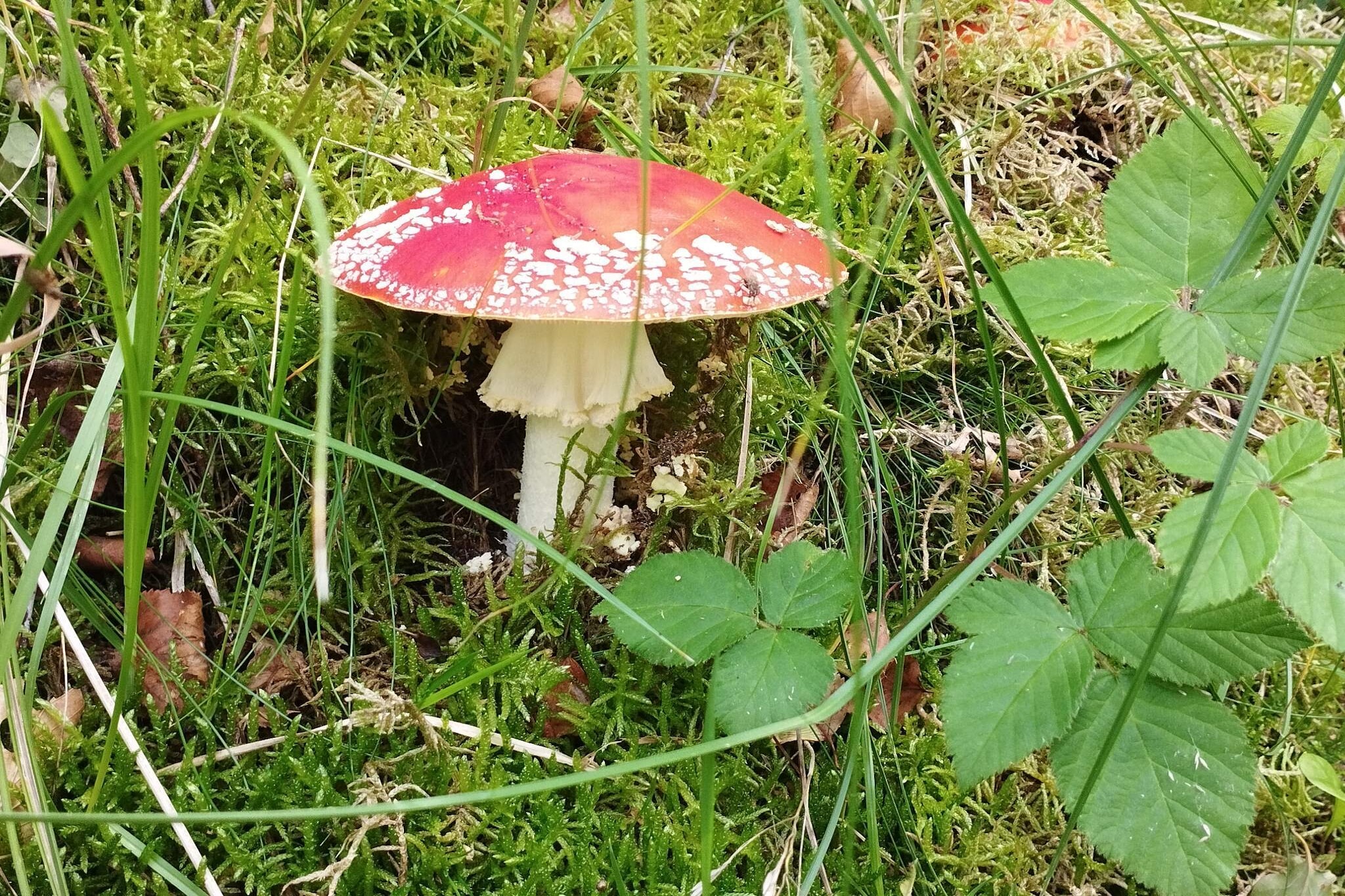 Gezellig huisje nabij Mariager -- By Traum Ferienwohnungen-Niet-getagd