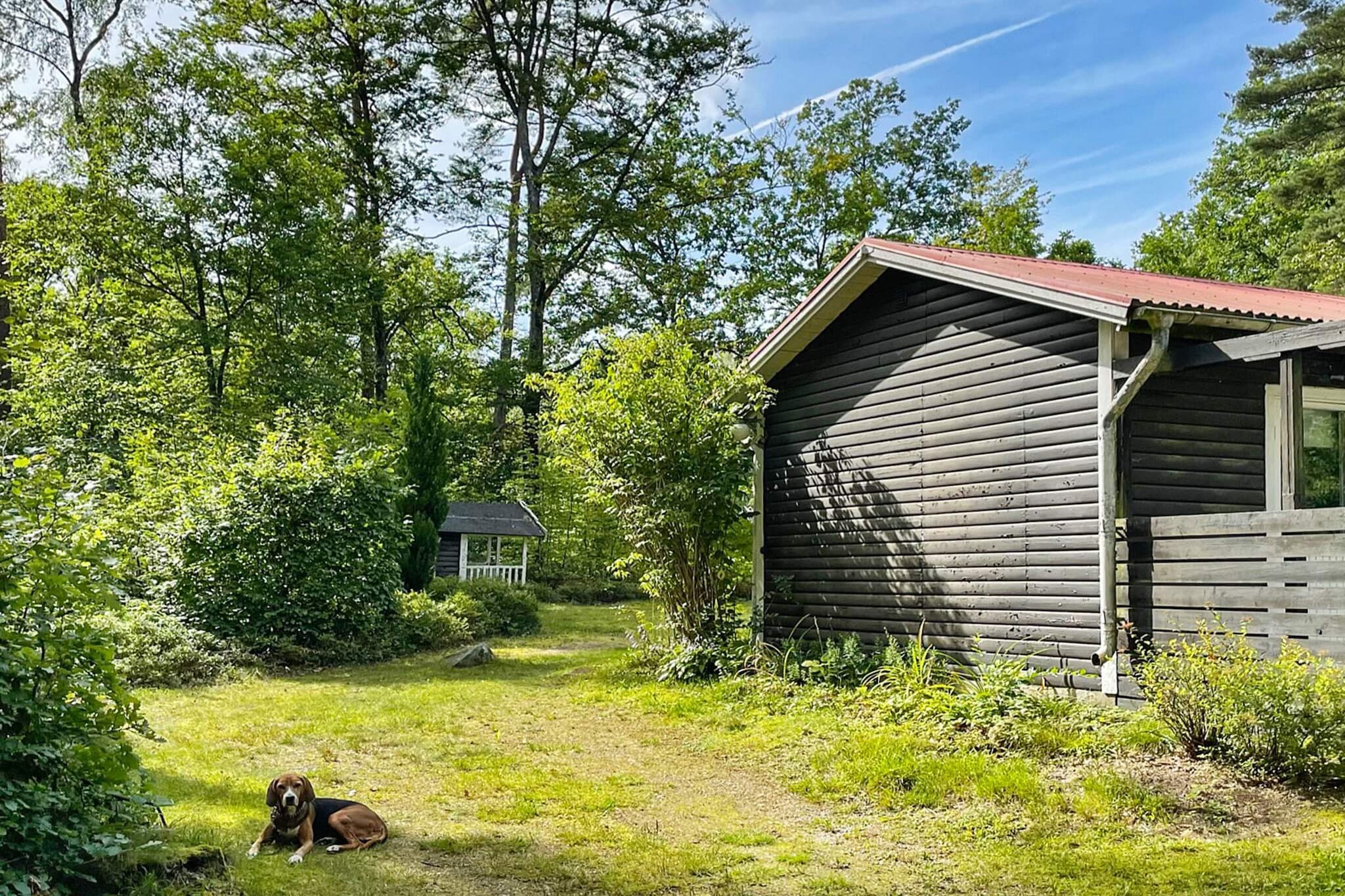 4 persoons vakantie huis in HÄSTVEDA-By Traum - Buitenlucht