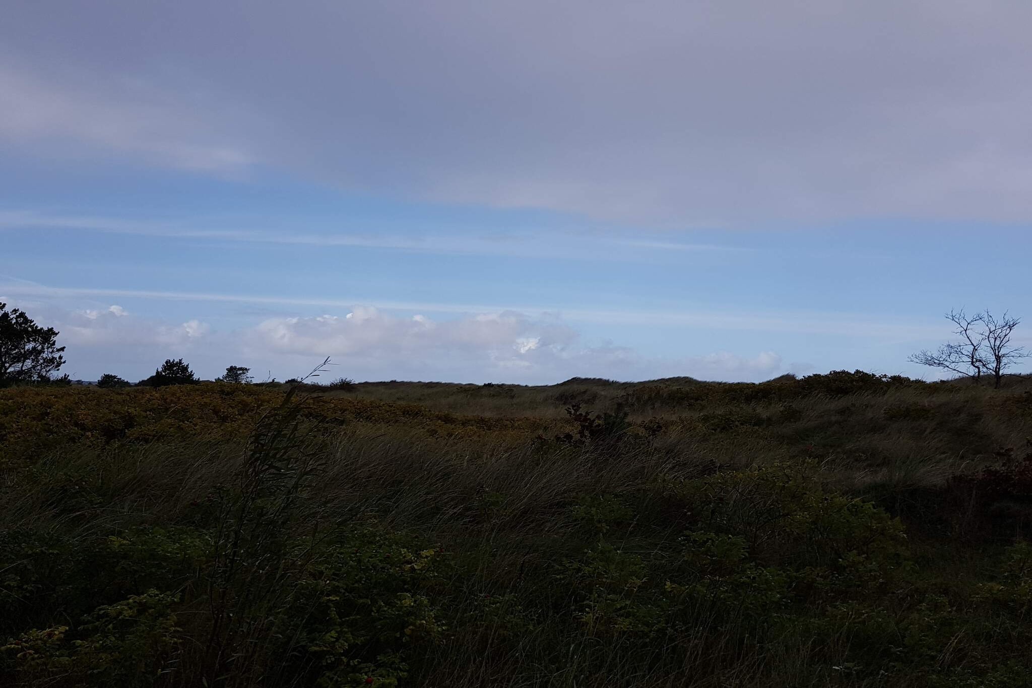 5 persoons vakantie huis in Jerup-By Traum