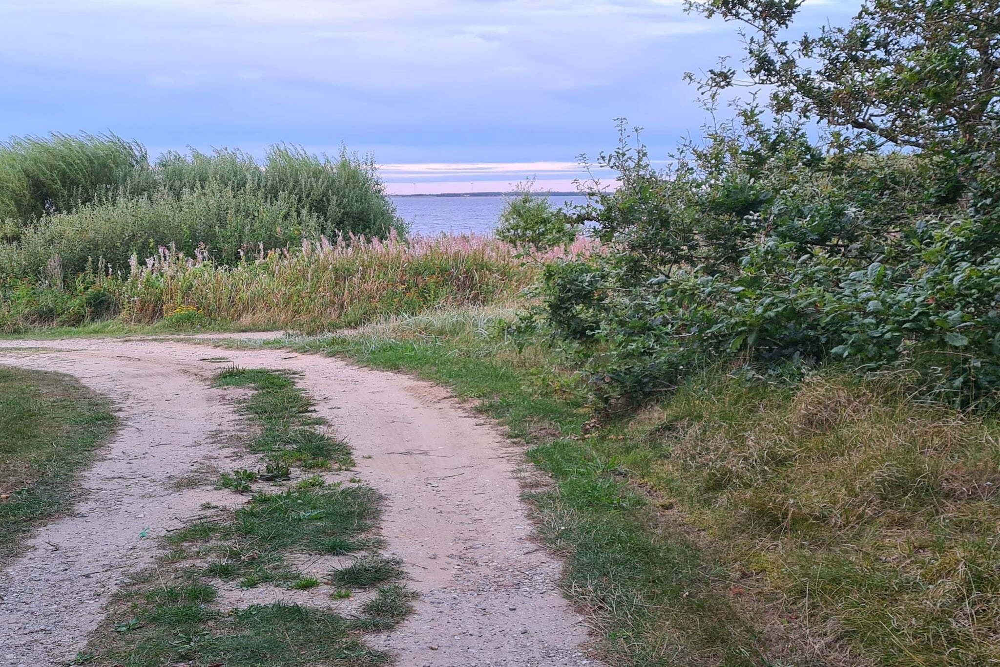 4 persoons vakantie huis in Ulfborg-By Traum-Niet-getagd