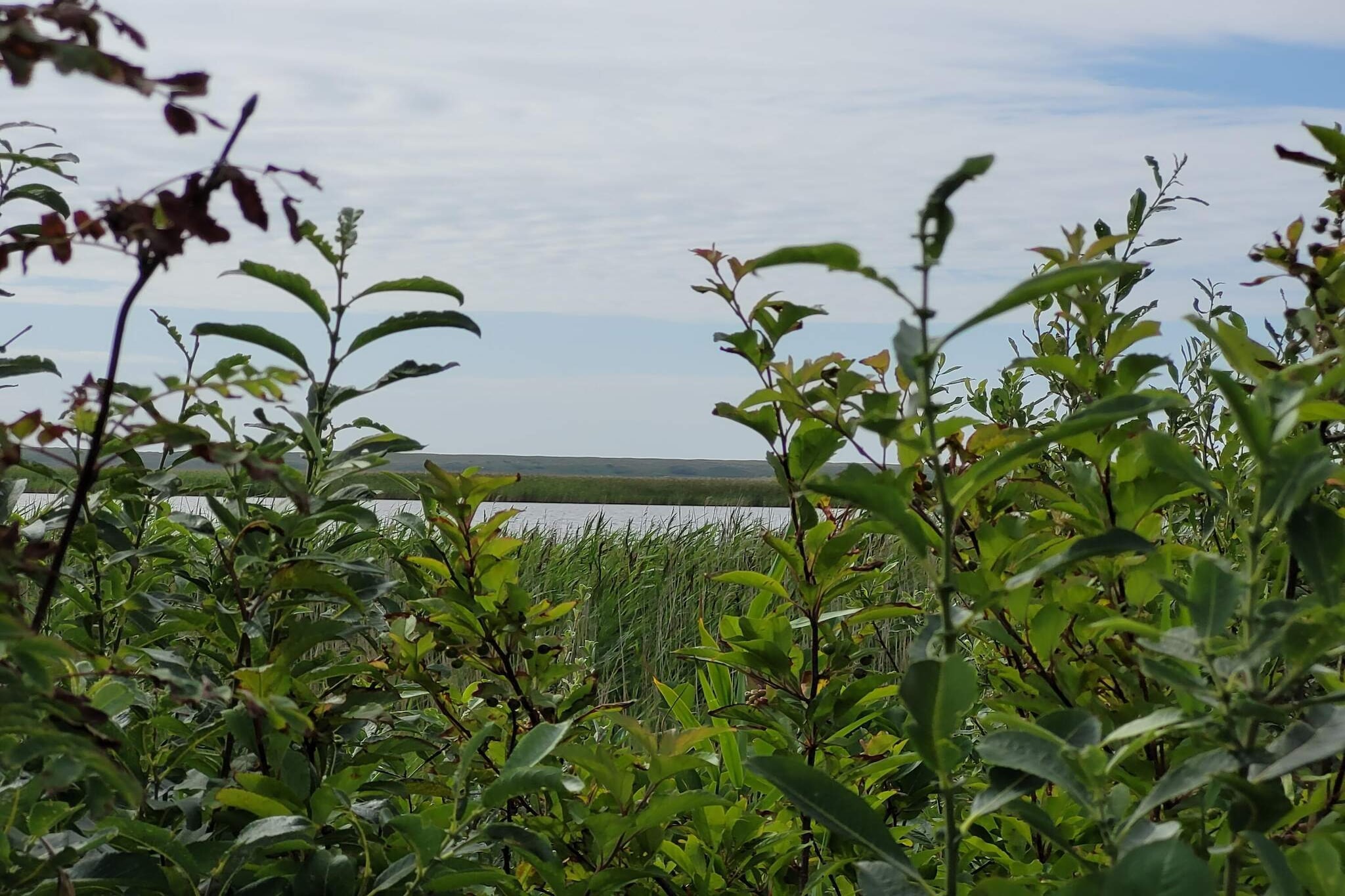 4 persoons vakantie huis in Ulfborg-By Traum-Waterzicht