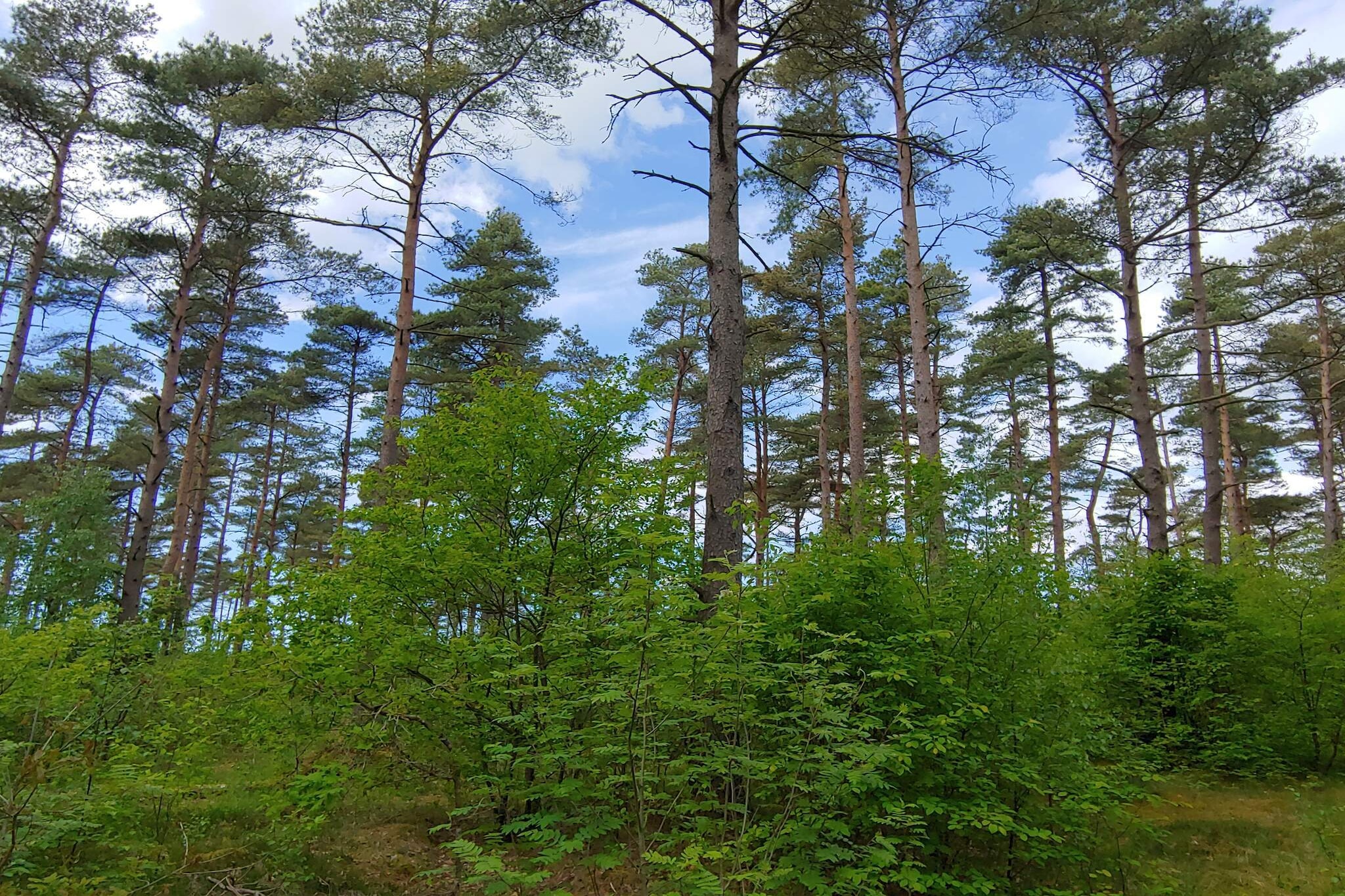 Rustig toevluchtsoord met Spa -- By Traum-Niet-getagd