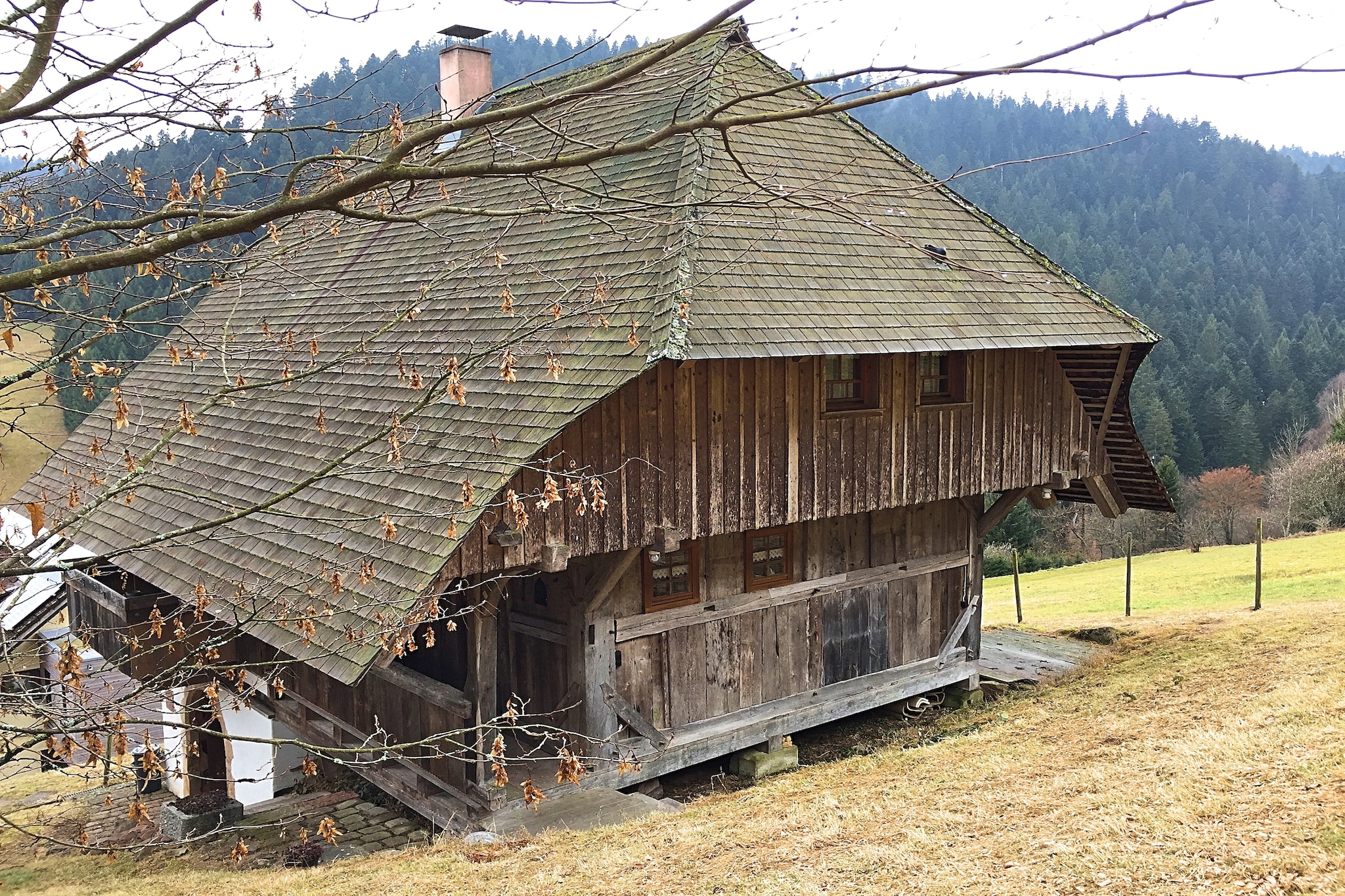 Schwarzwald-Extérieur été