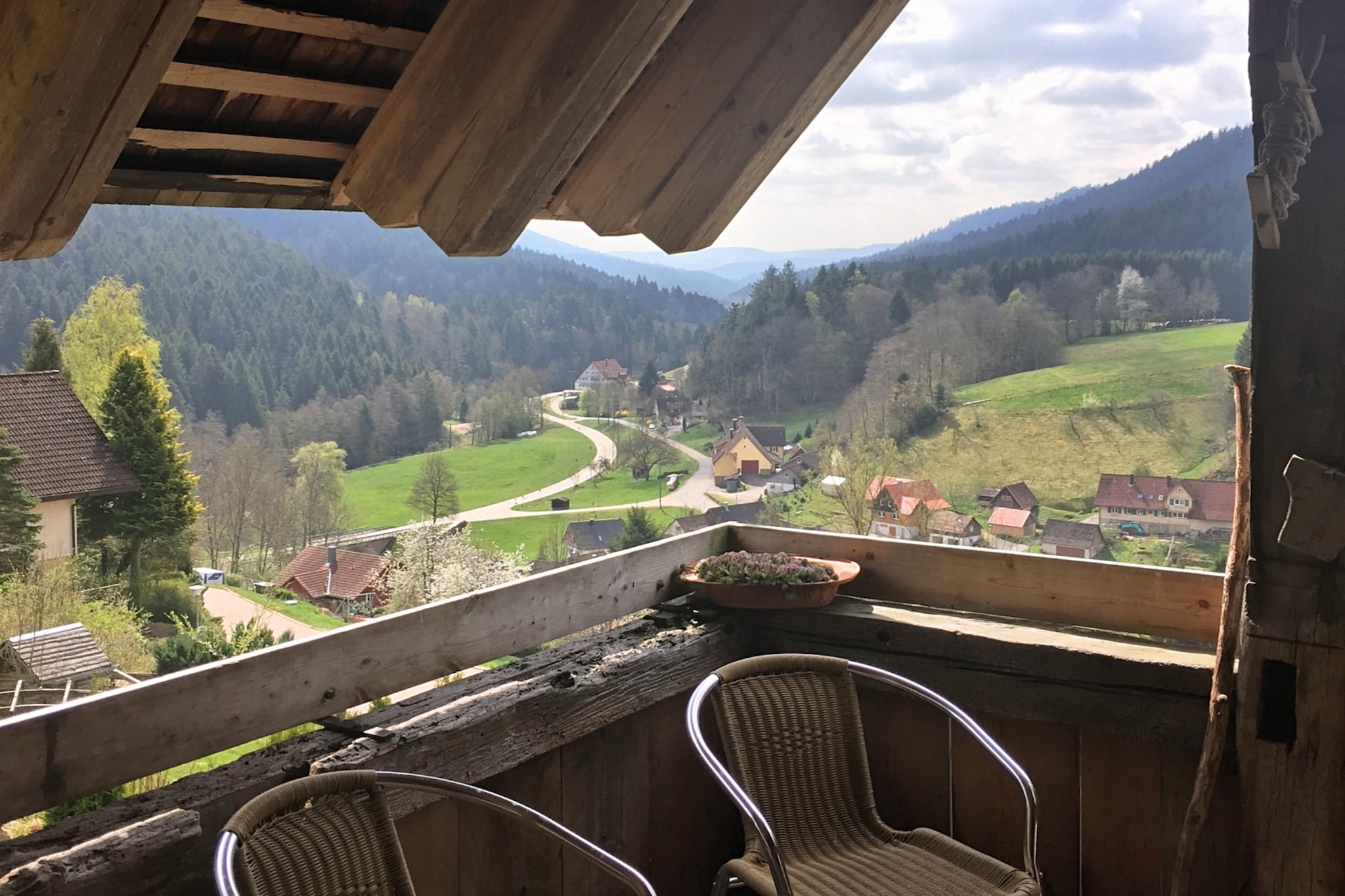 Schwarzwald-Extérieur été