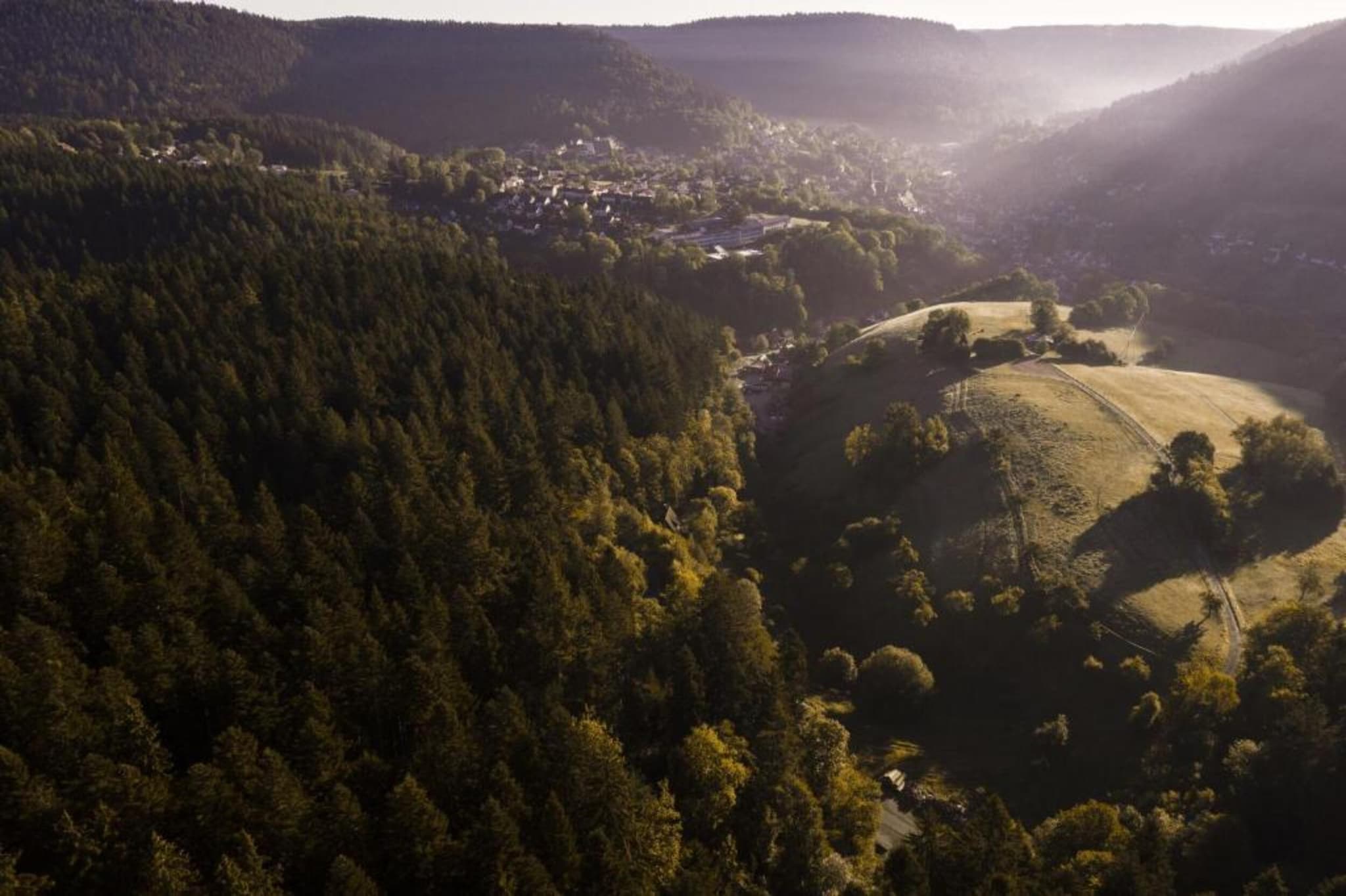 Schwarzwald-Zones d'été à 20 km