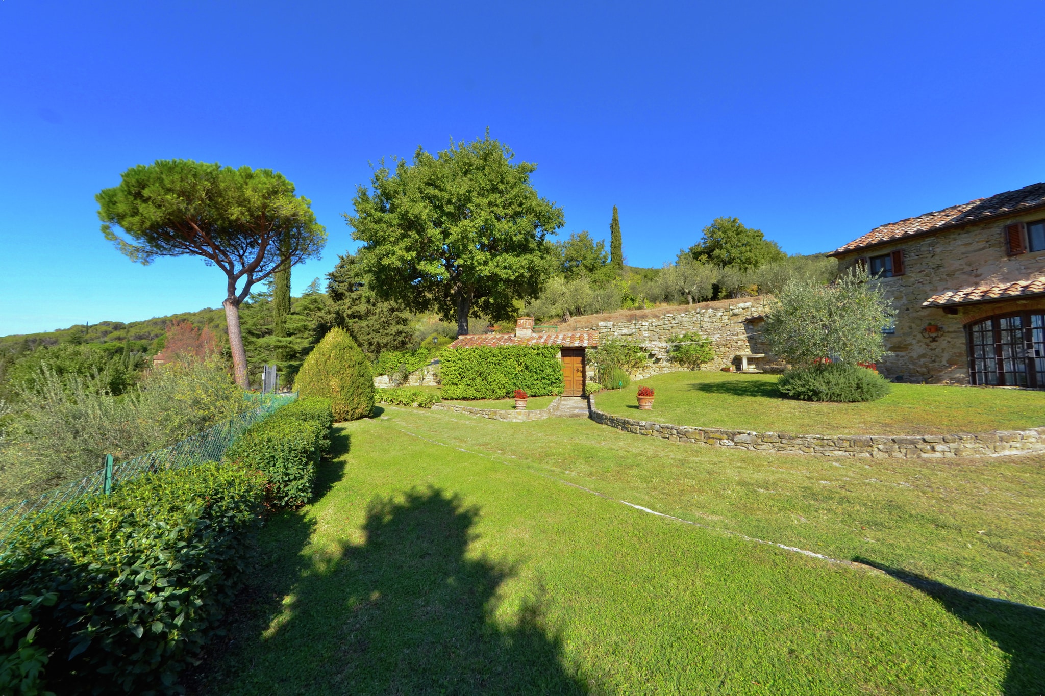 Garden Summer