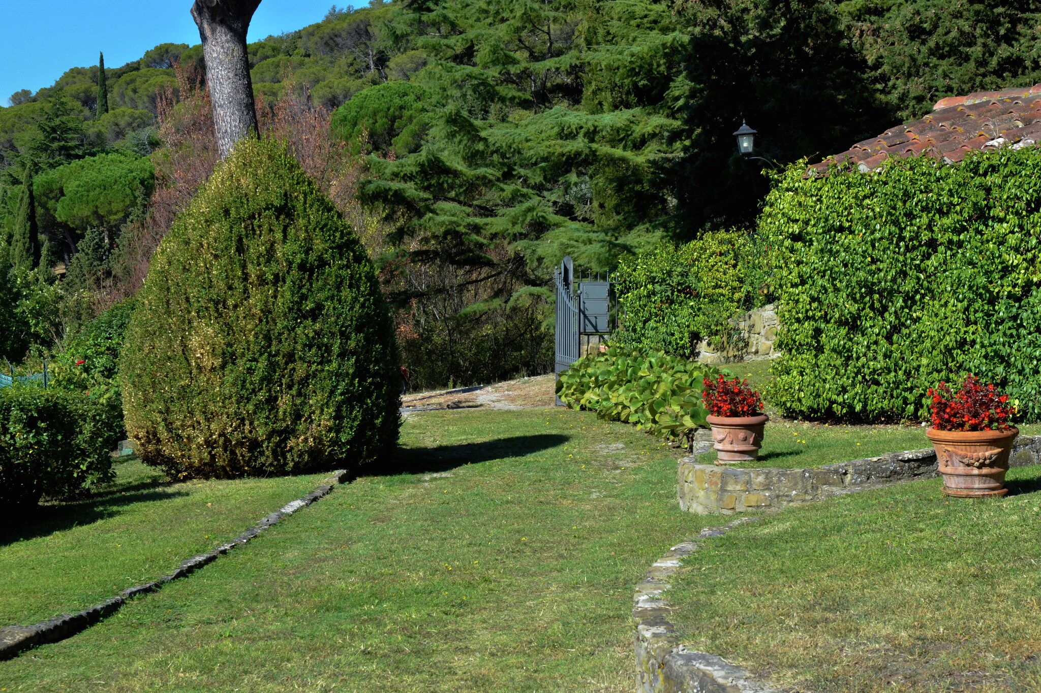 Garden Summer