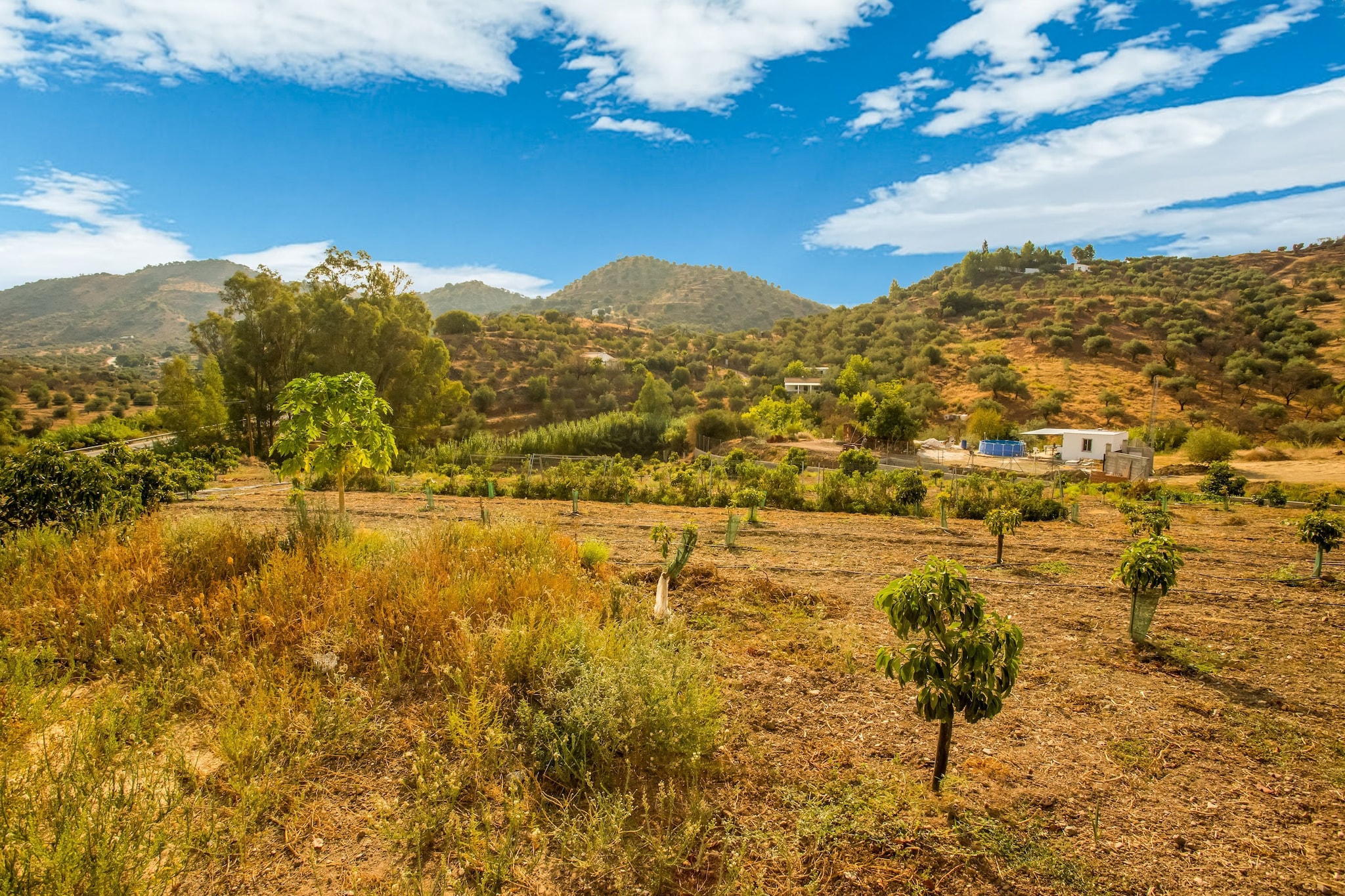 La Vista-Areas summer 1km