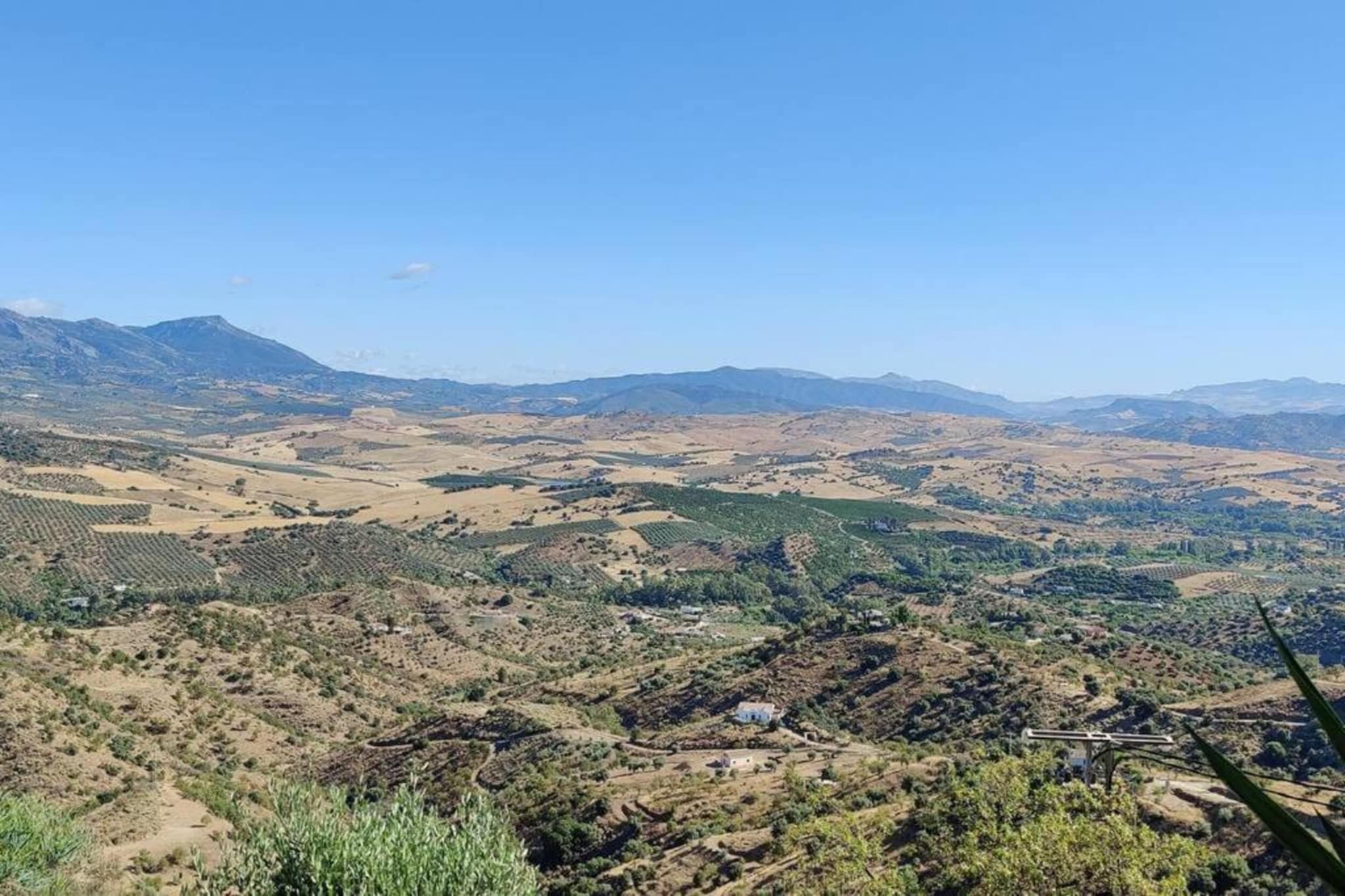 La Vista-Areas summer 5km