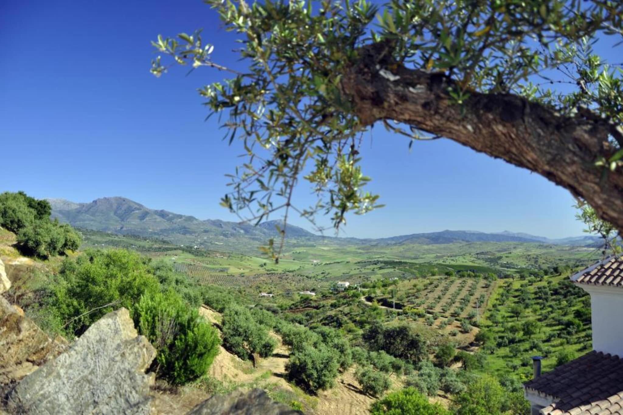 La Vista-Areas summer 5km