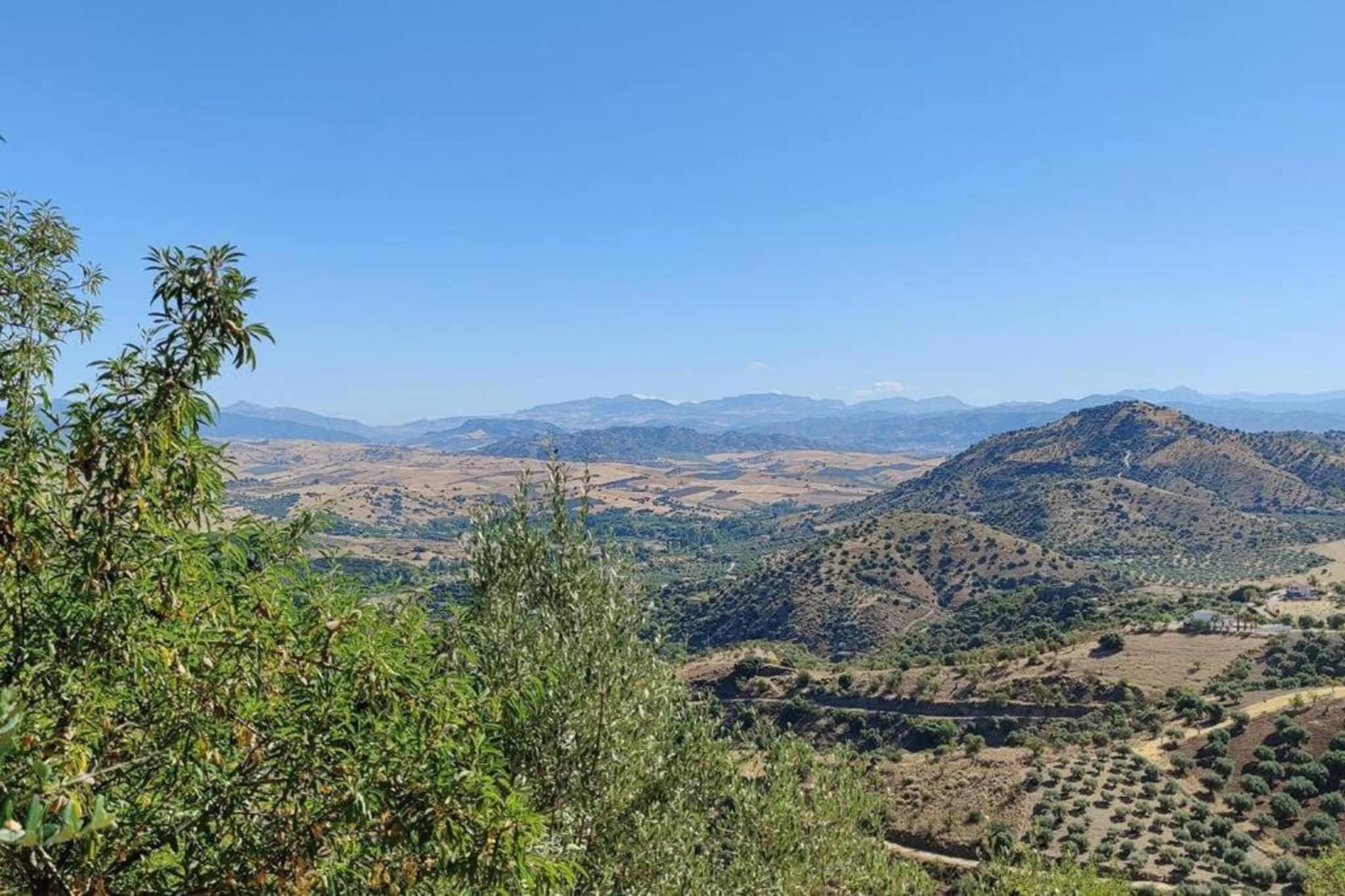 La Vista-Areas summer 5km