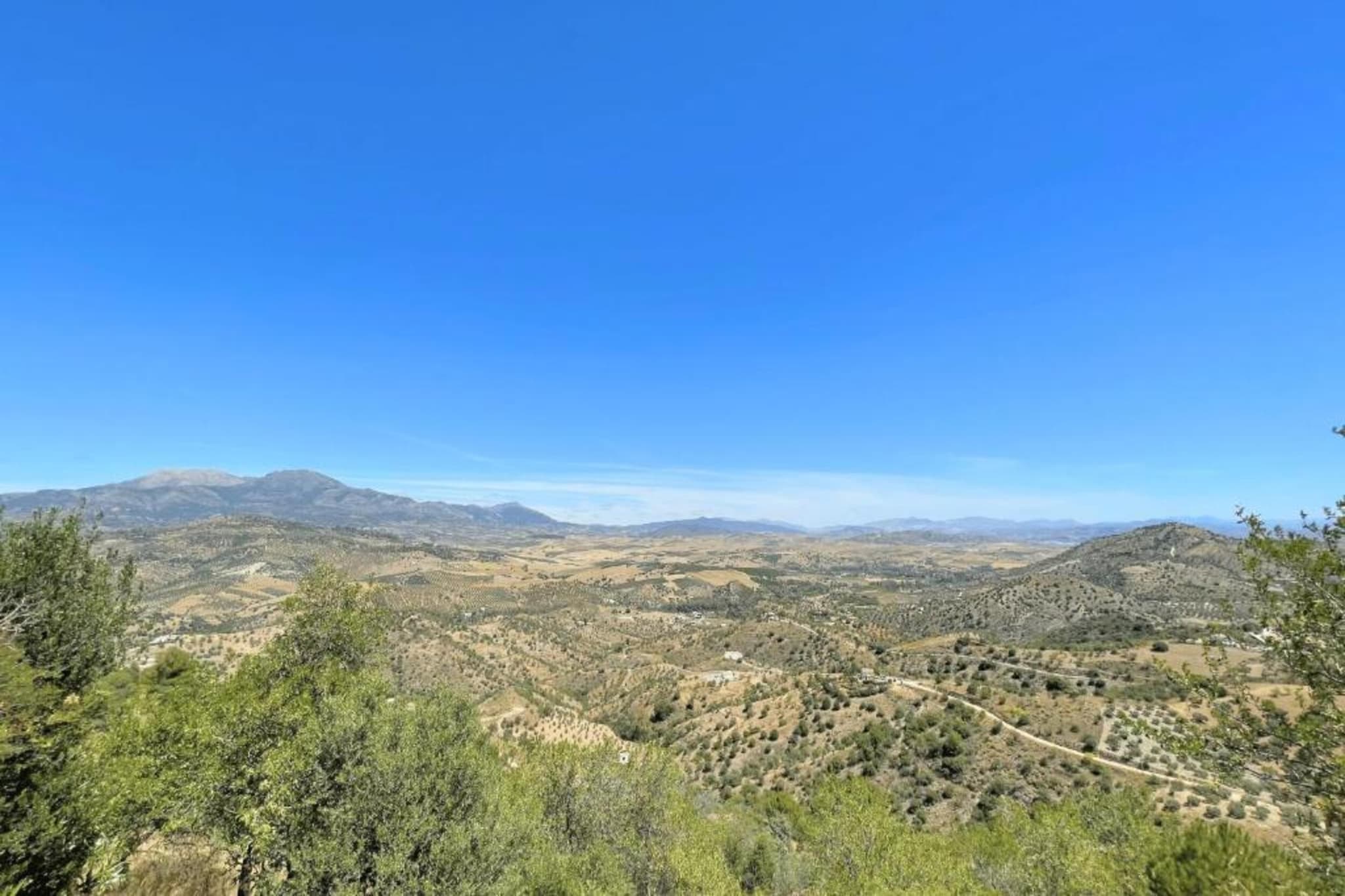 La Vista-Areas summer 5km