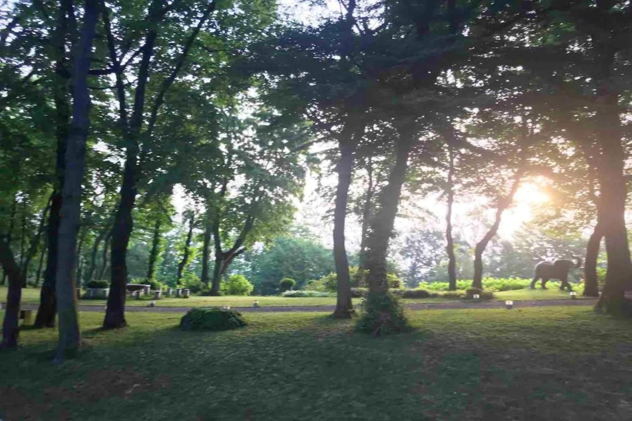 Villa Carpaneto-Areas summer 20km
