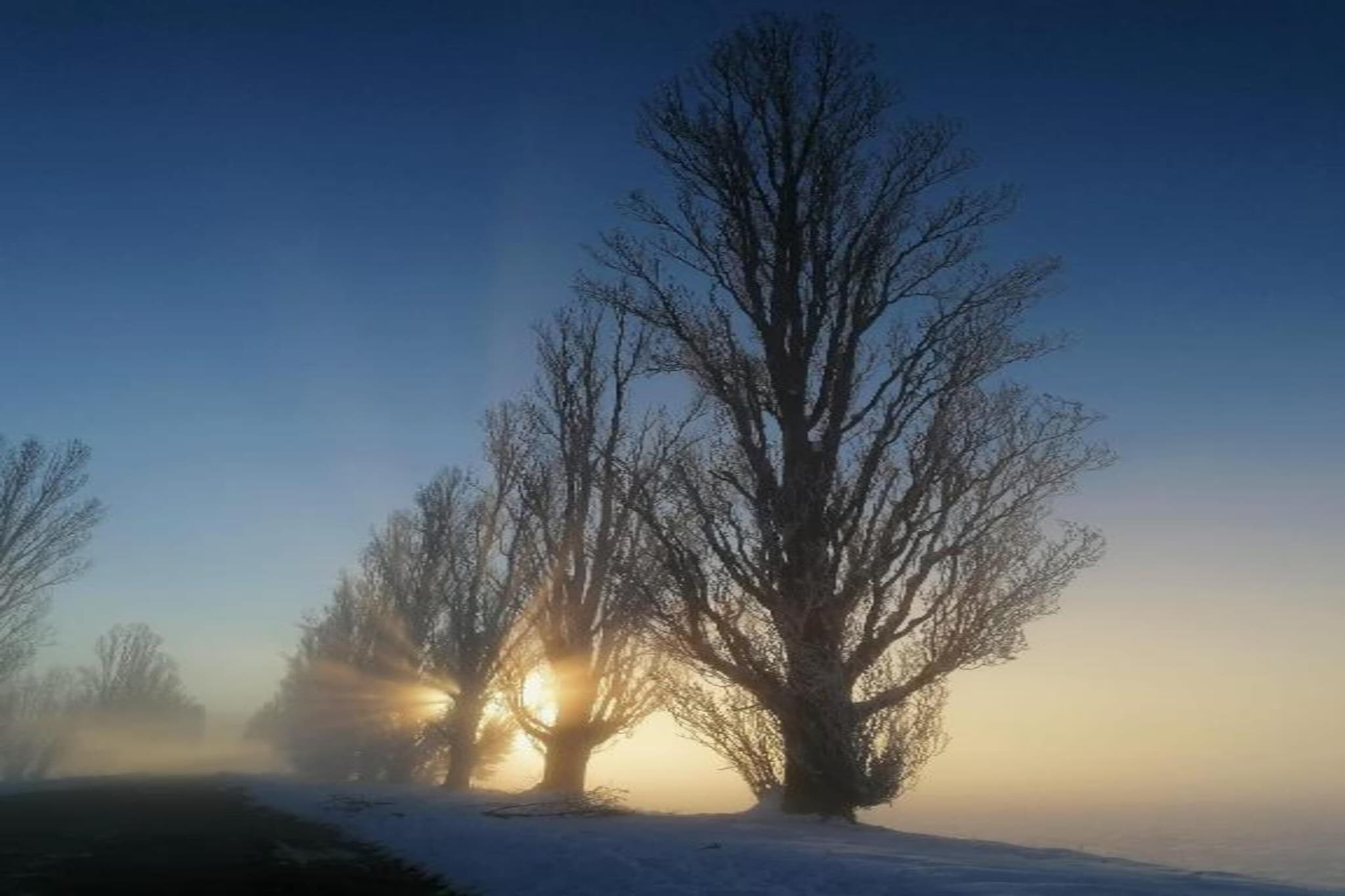 Villa Carpaneto-Area winter 20km