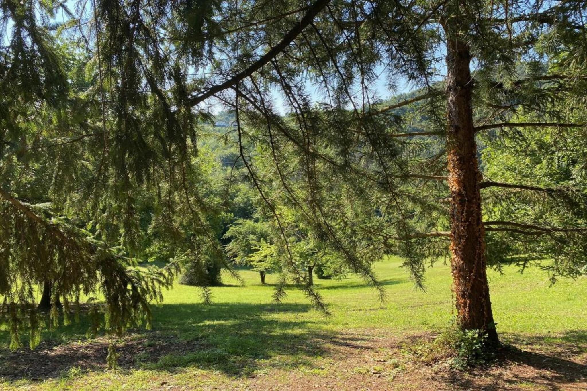 Villa Carpaneto-Areas summer 20km