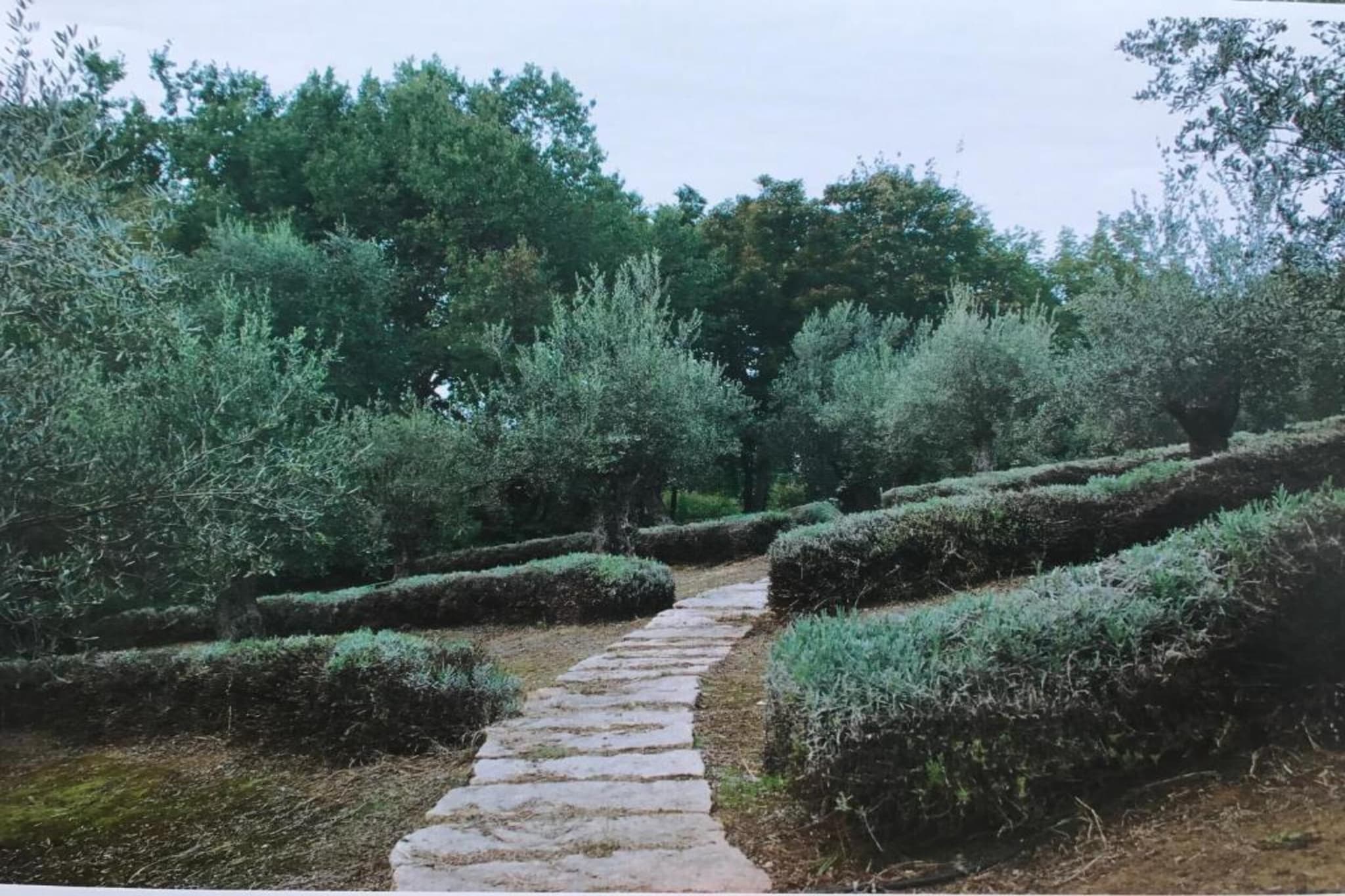 Villa Carpaneto-Areas summer 20km