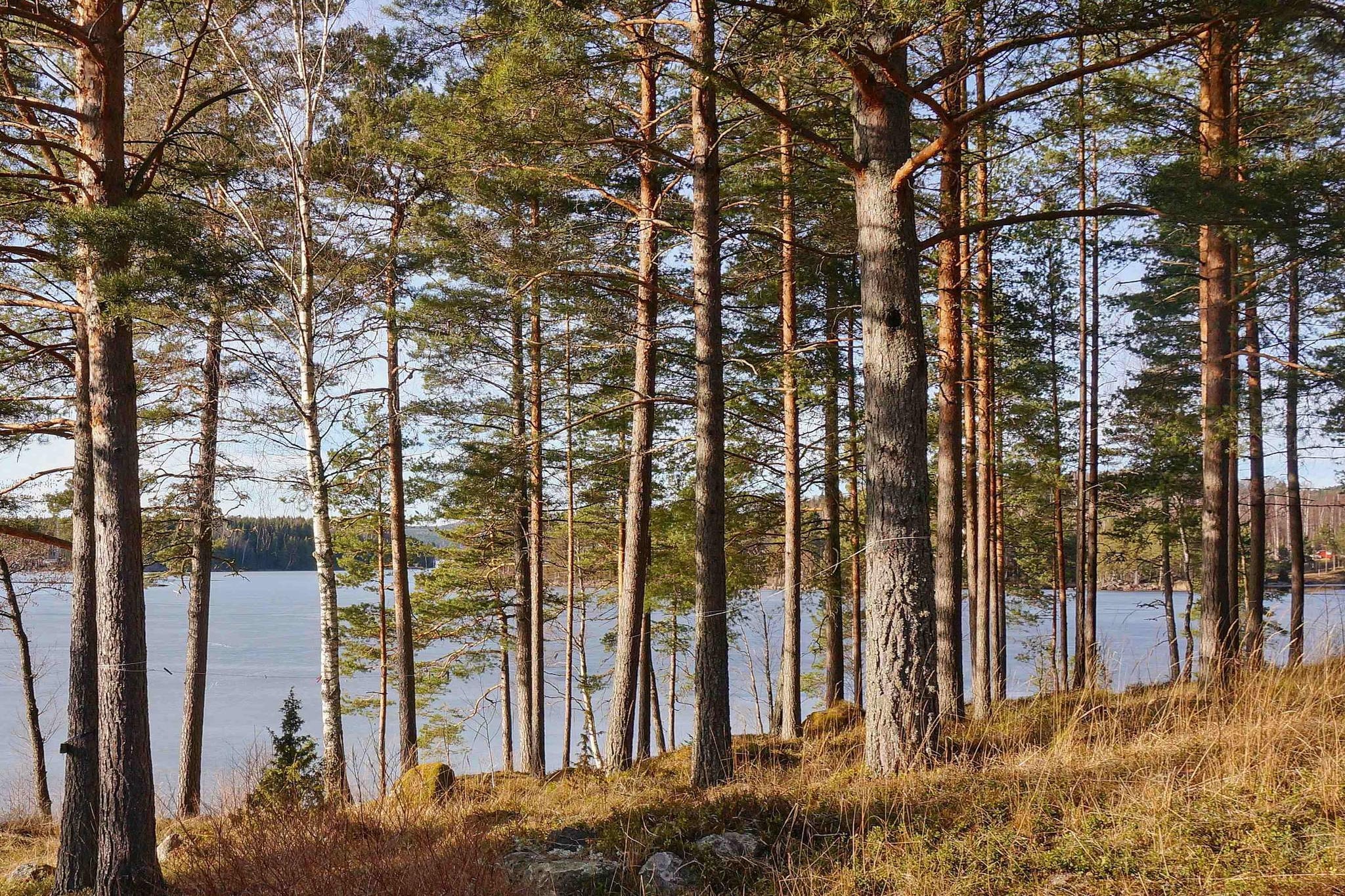 4 person holiday home in Ã…RJÃ„NG