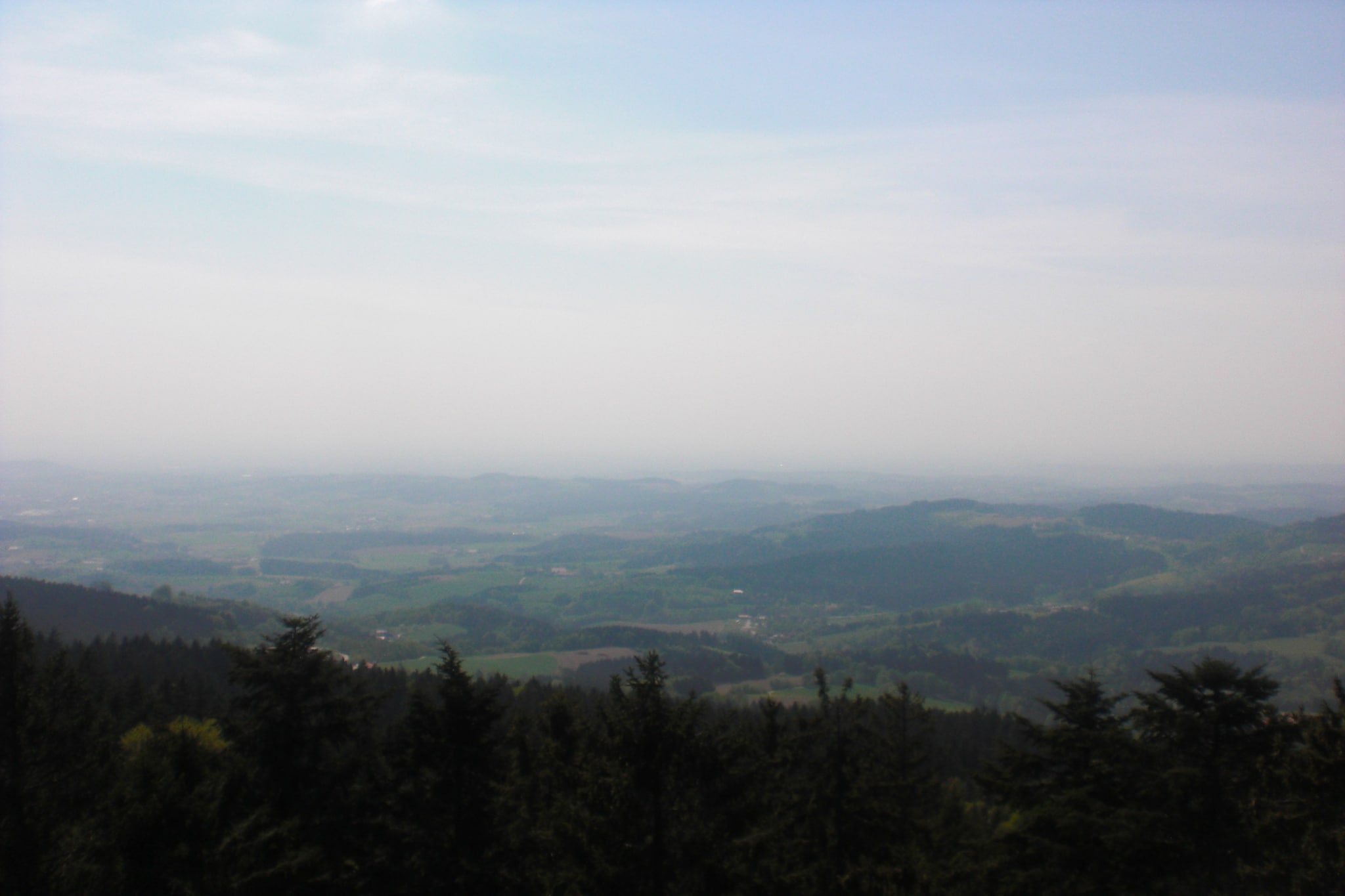 Kreut-Gebieden zomer 20km