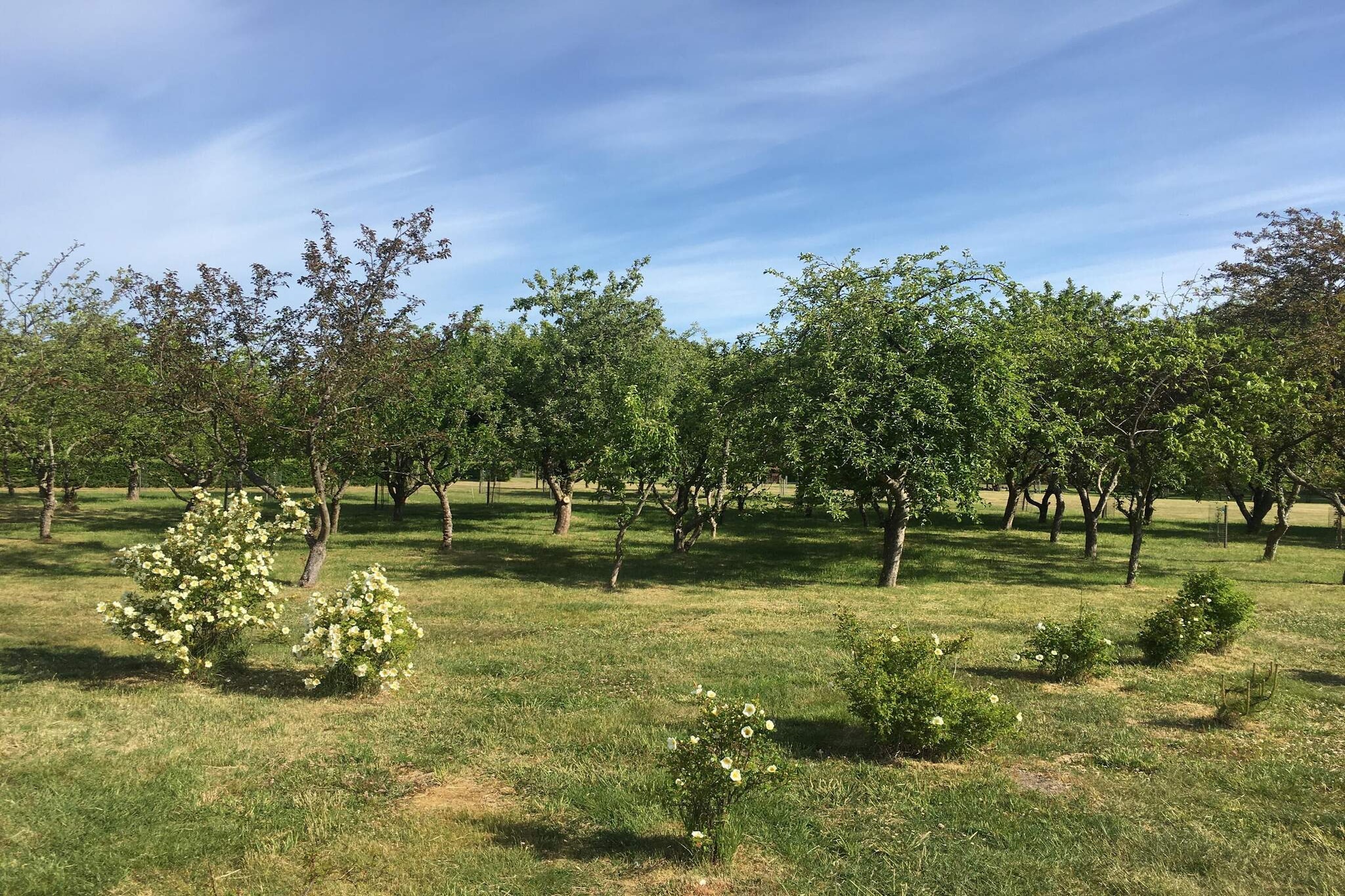 8 persoons vakantie huis in Storvorde-By Traum-Niet-getagd