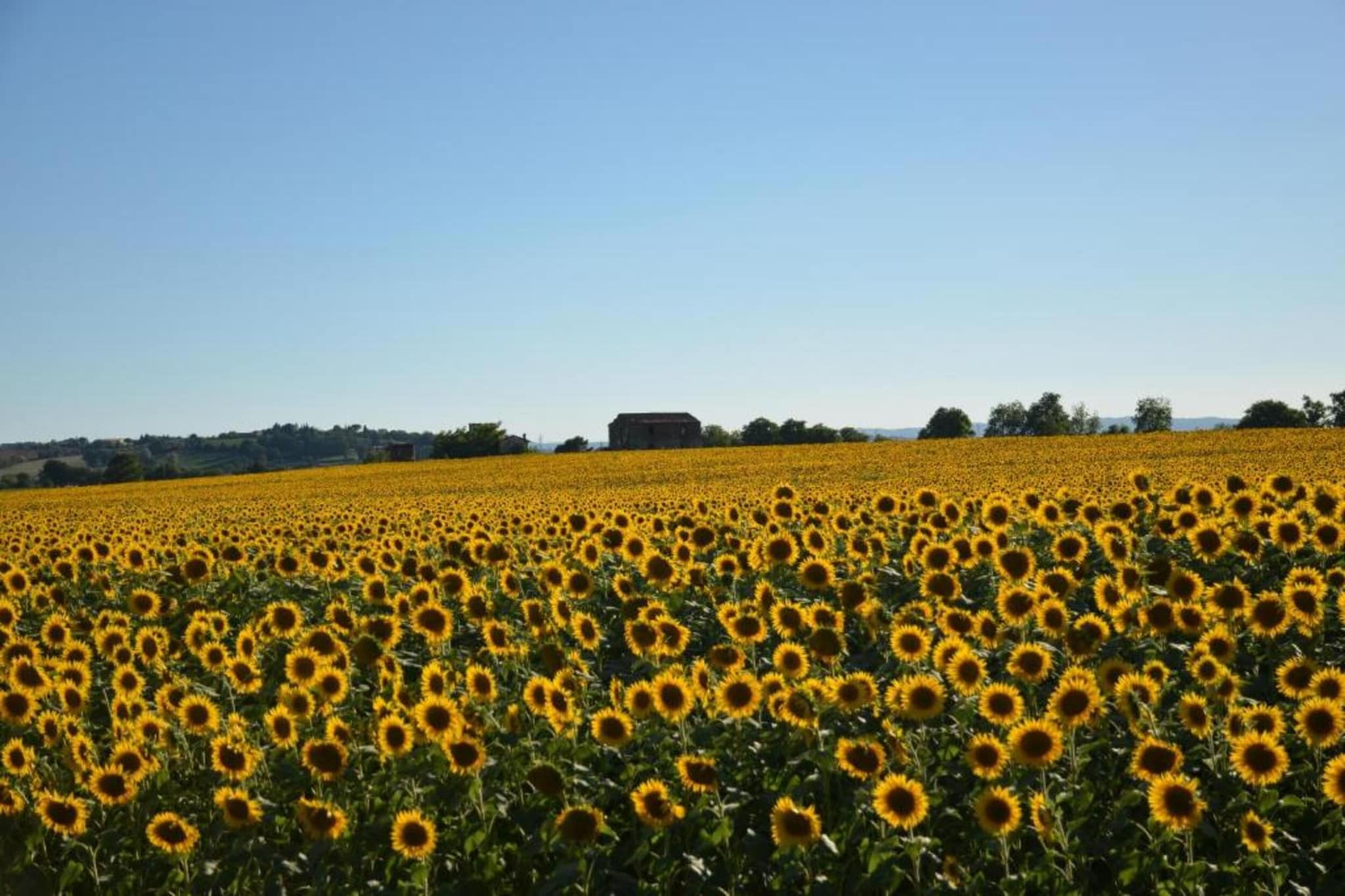 Casale  Valdichiana-Areas summer 20km
