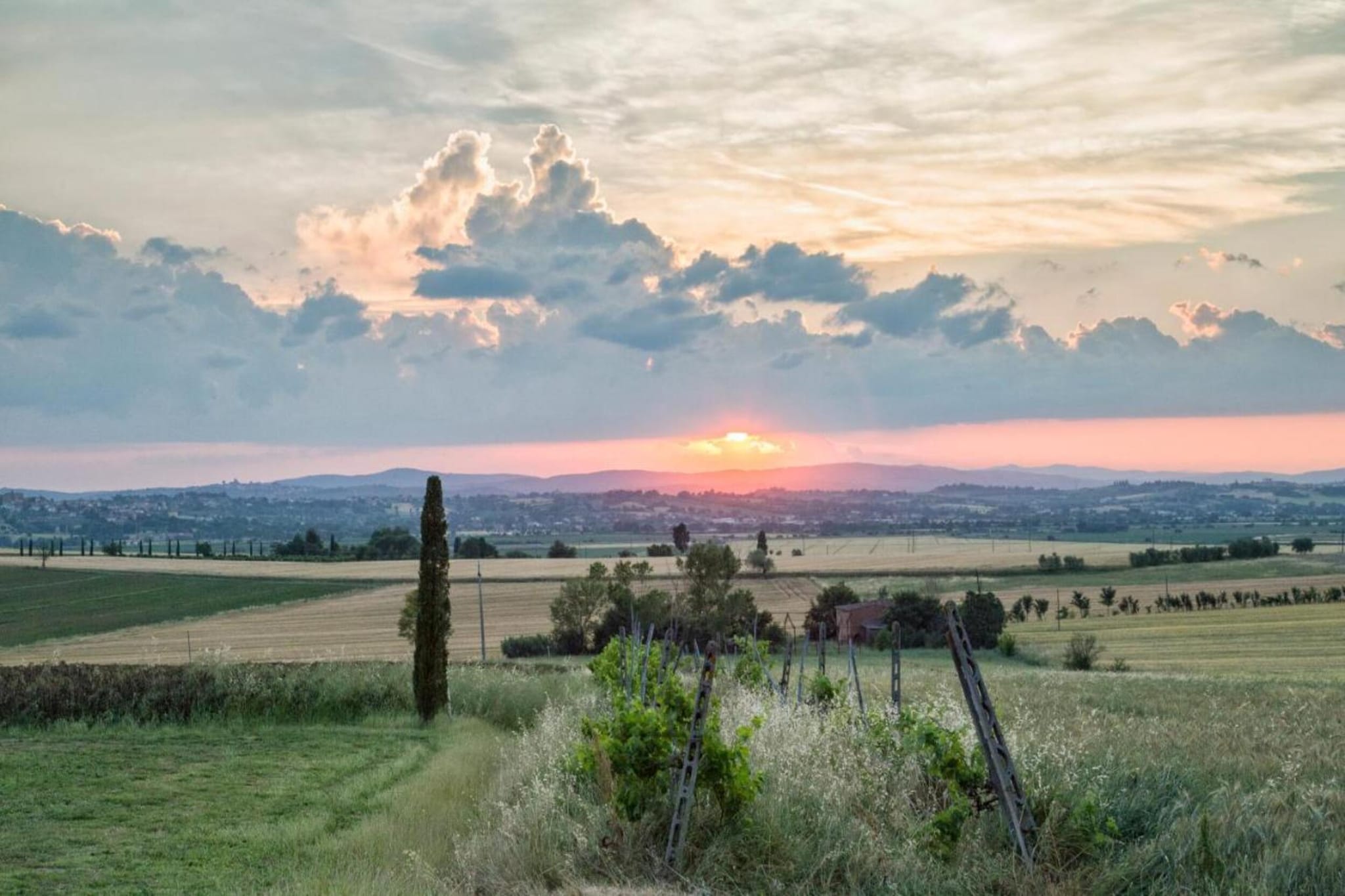 Casale  Valdichiana-Areas summer 20km