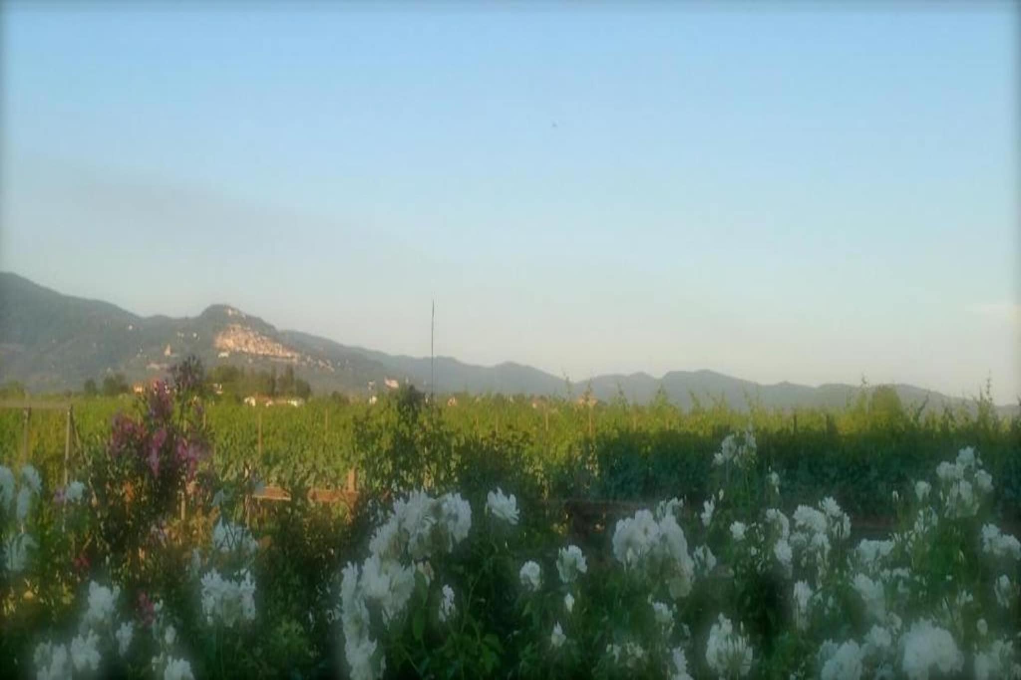 Casale  Valdichiana-Areas summer 20km