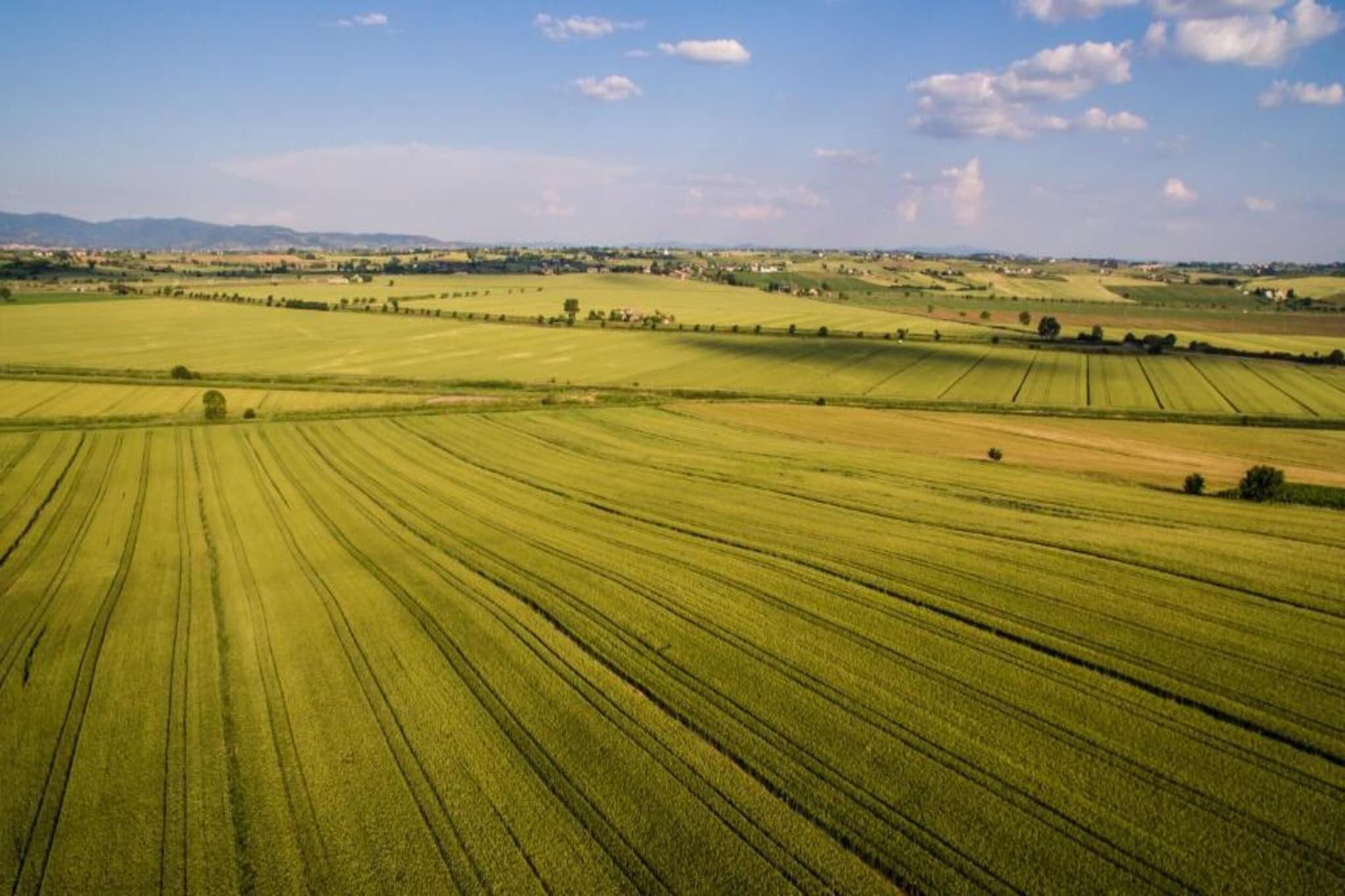 Casale  Valdichiana-Areas summer 20km