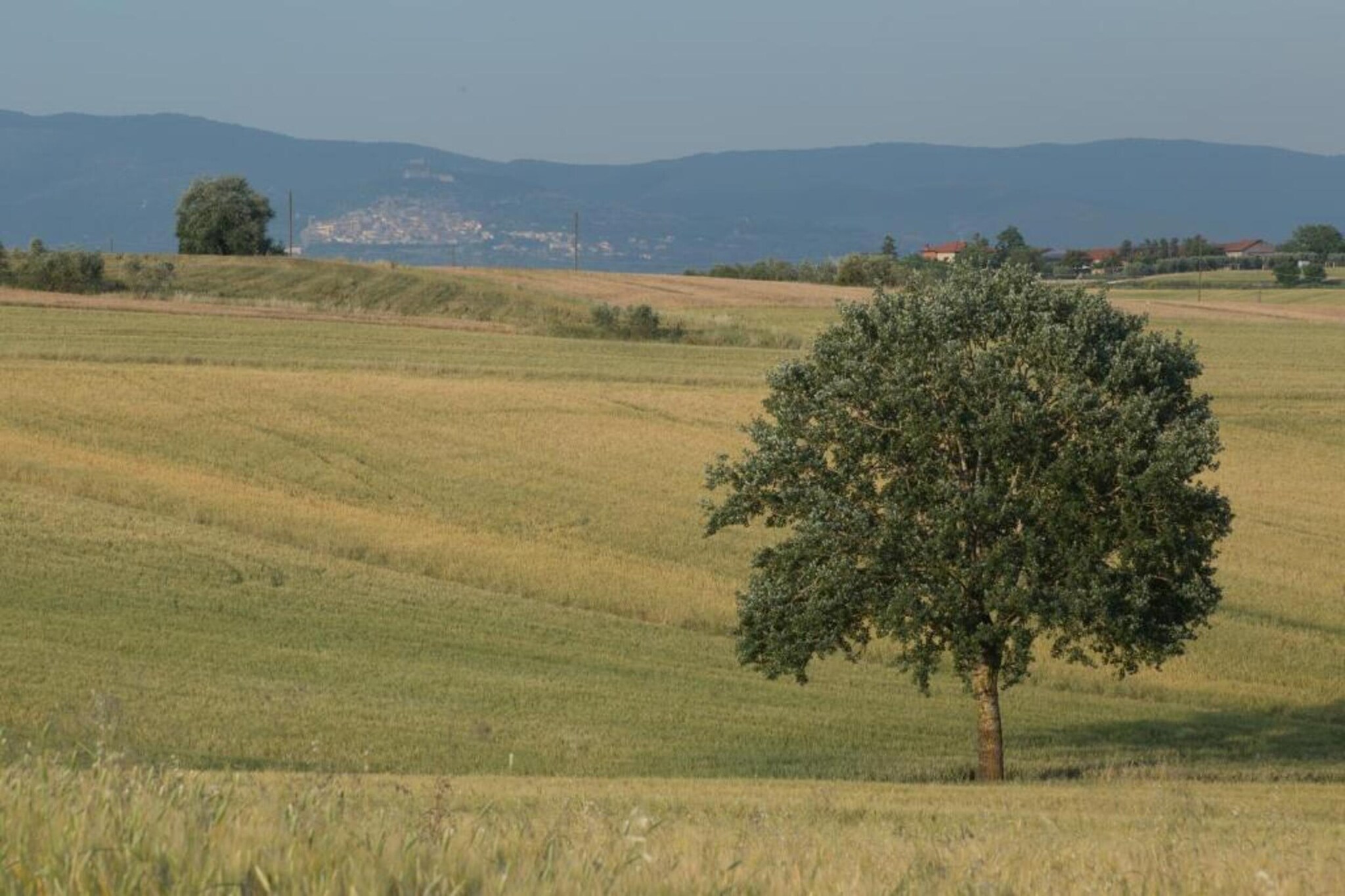 Casale  Valdichiana-Areas summer 20km
