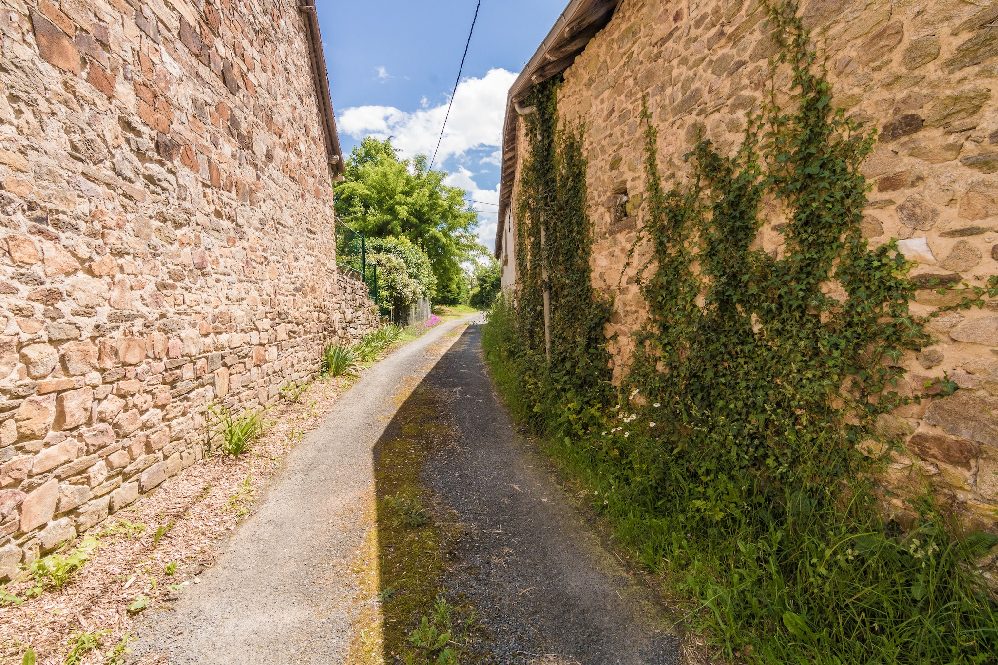 Mas d'Arneix-Gebiete Sommer 1 km
