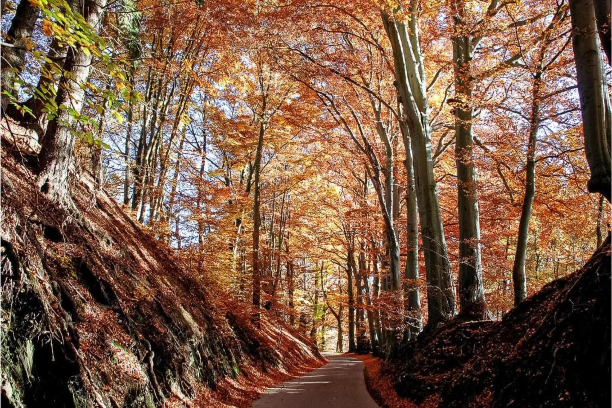 Le Chalet Chaleureux A-Areas summer 20km