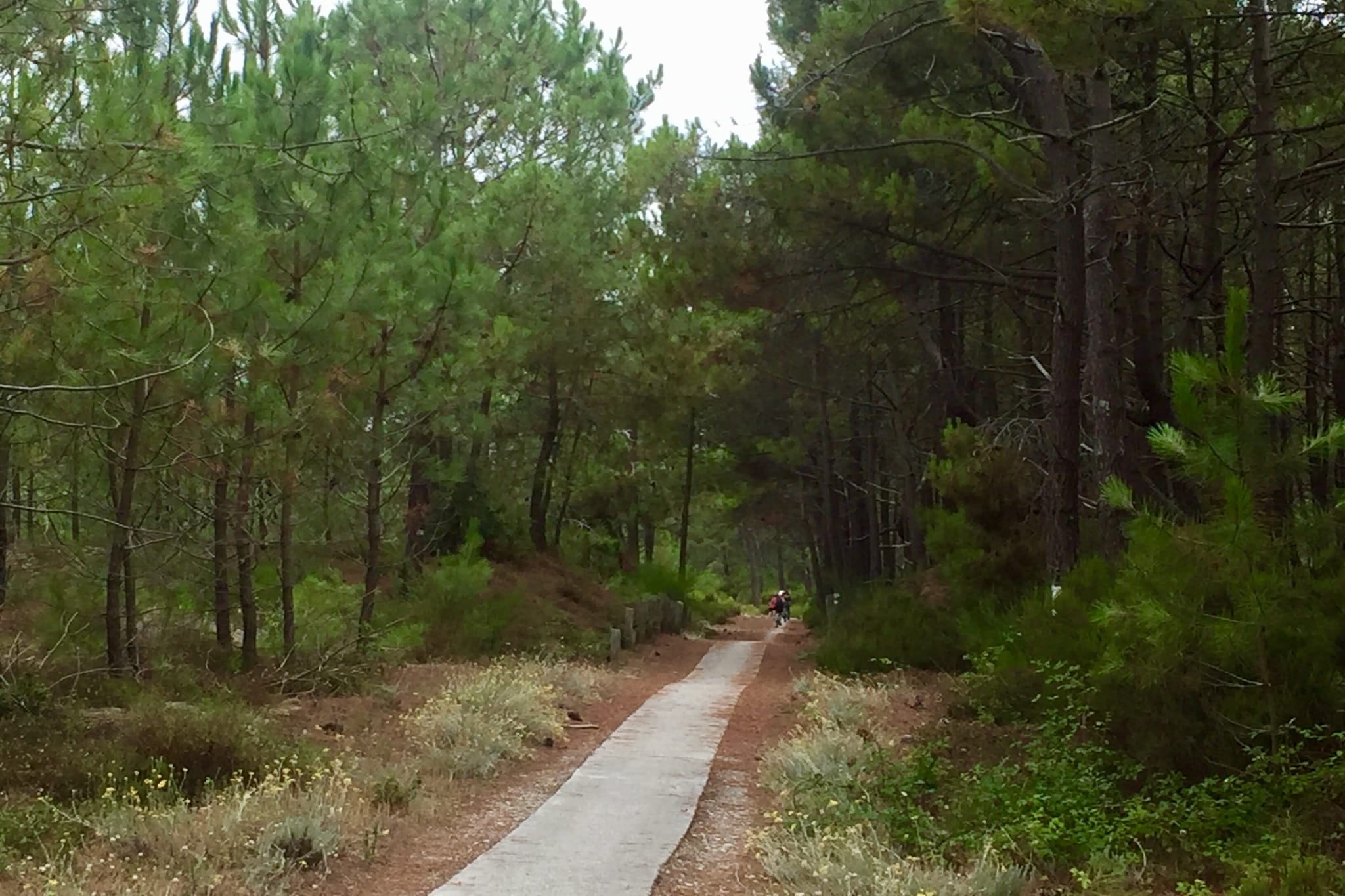 Clos les Pins-Gebieden zomer 1km