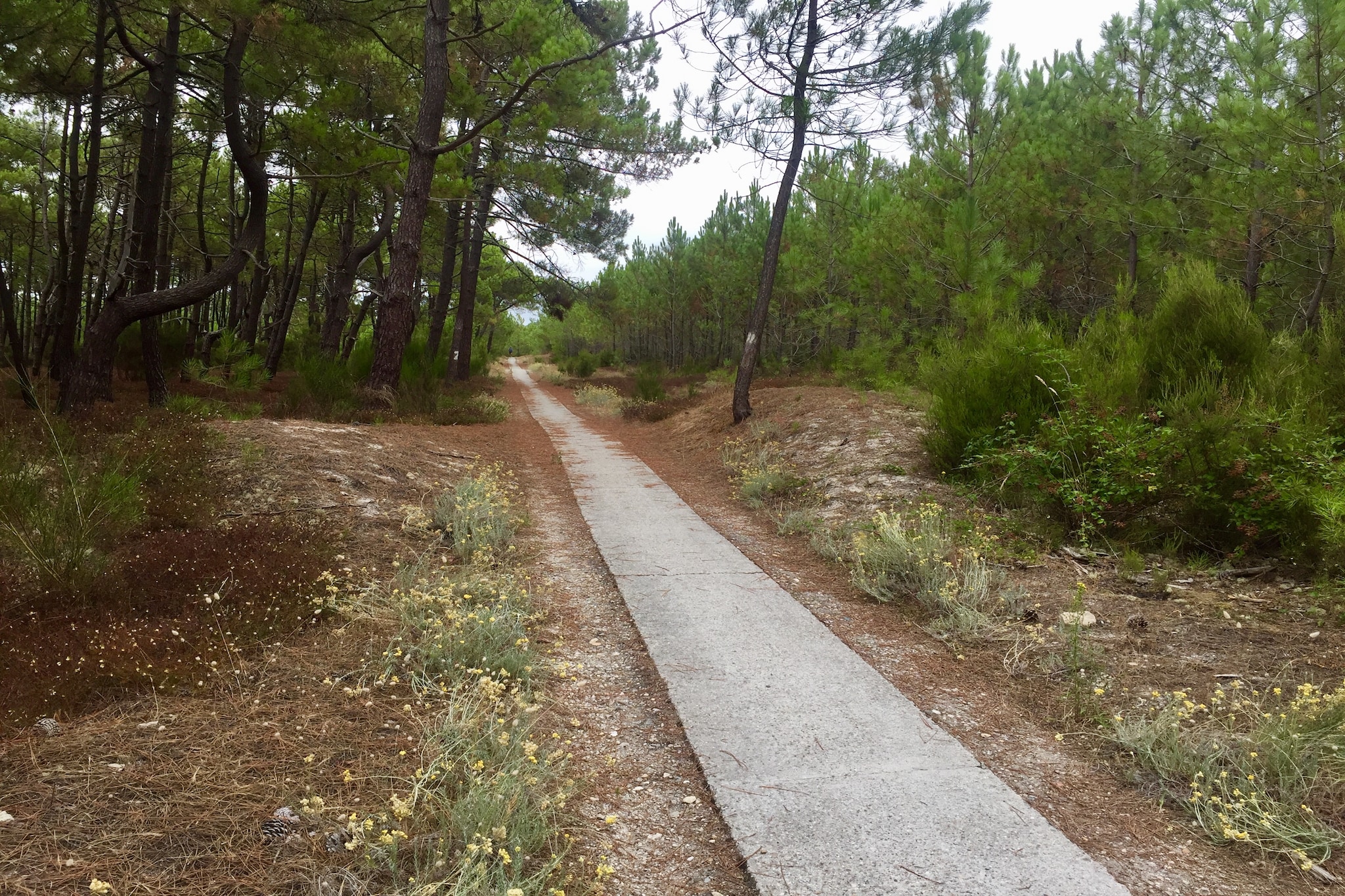 Clos les Pins-Gebieden zomer 1km