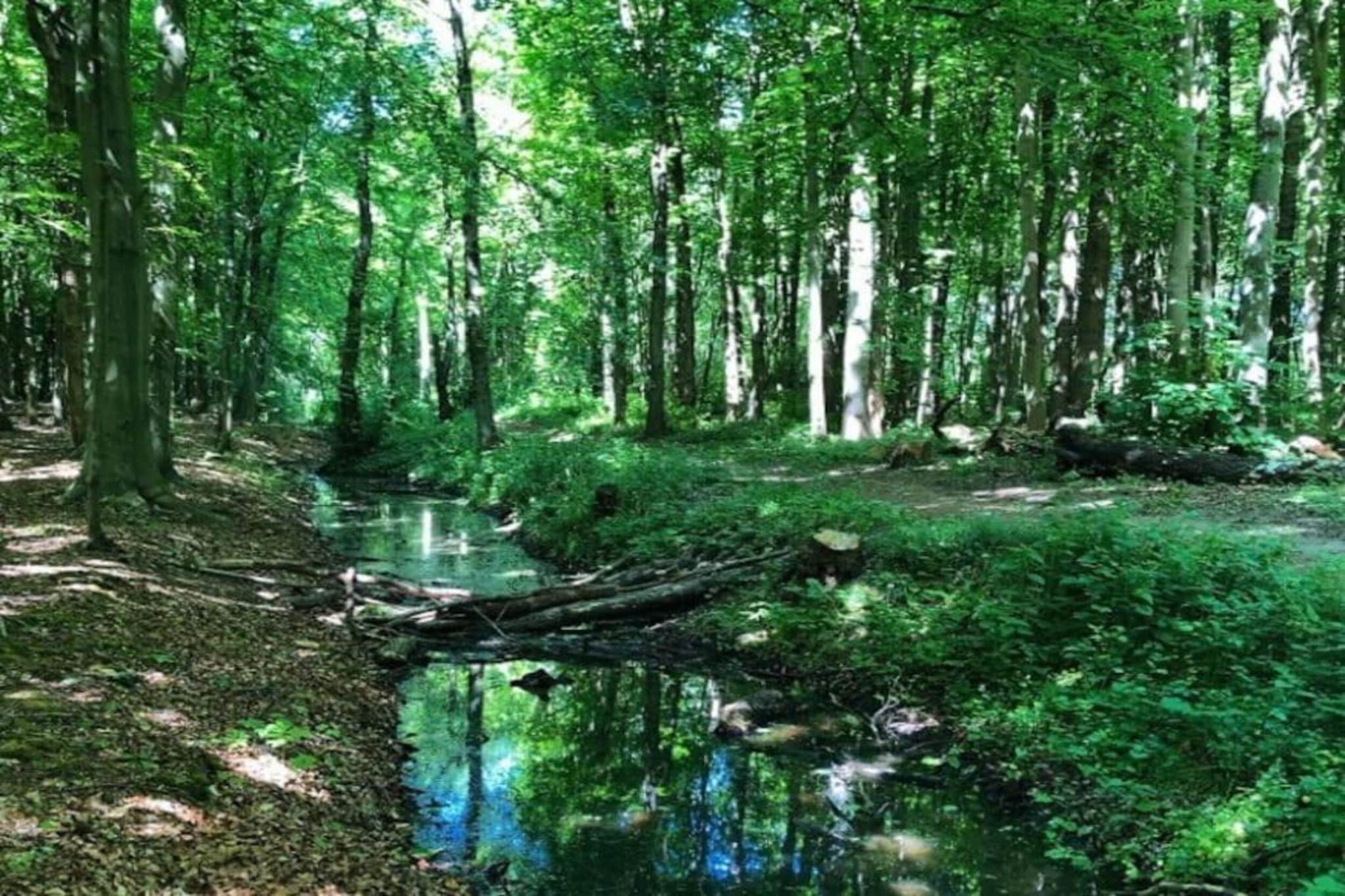 Resort De Rijp 1-Areas summer 20km