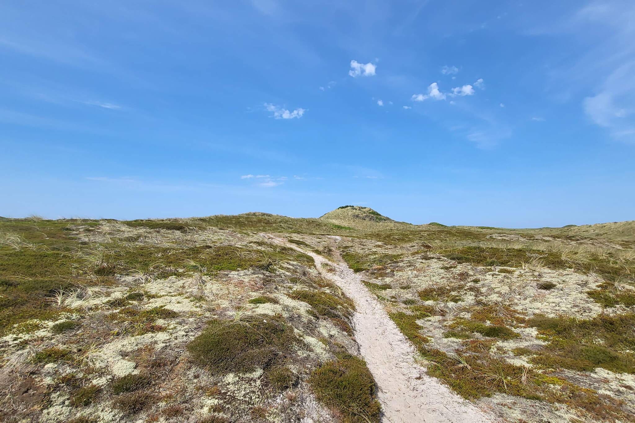 6 persoons vakantie huis in Thisted-Niet-getagd