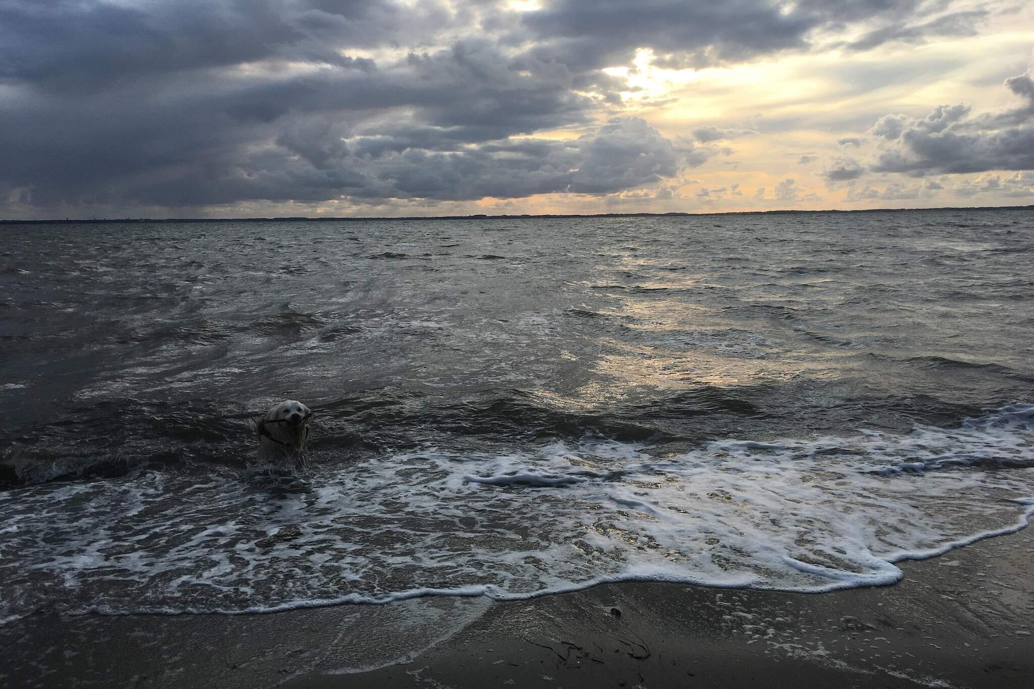 6 Personen Ferienhaus in Vinderup - Wasserblick