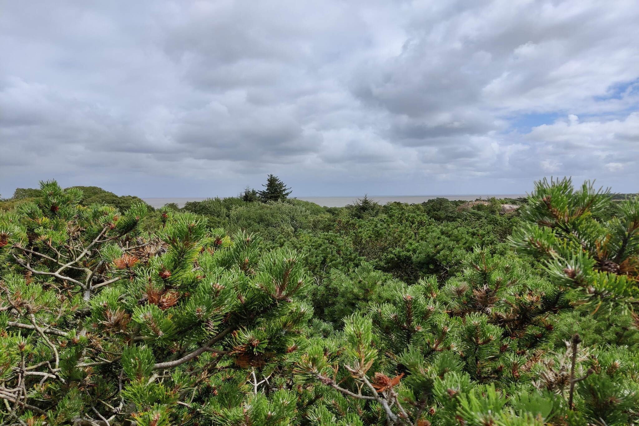 5 person holiday home in Fanø-Untagged