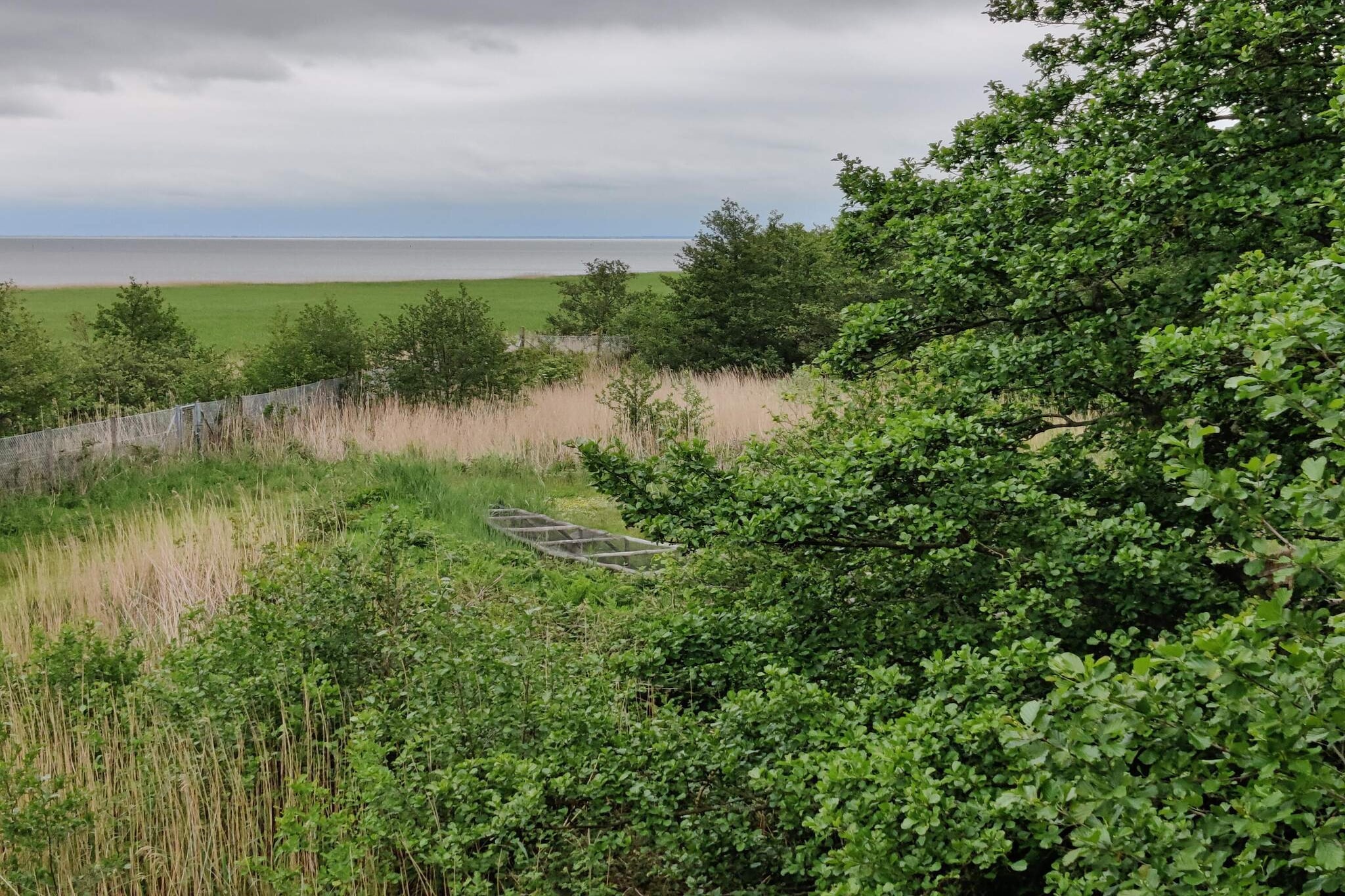 5 person holiday home in Fanø-Untagged