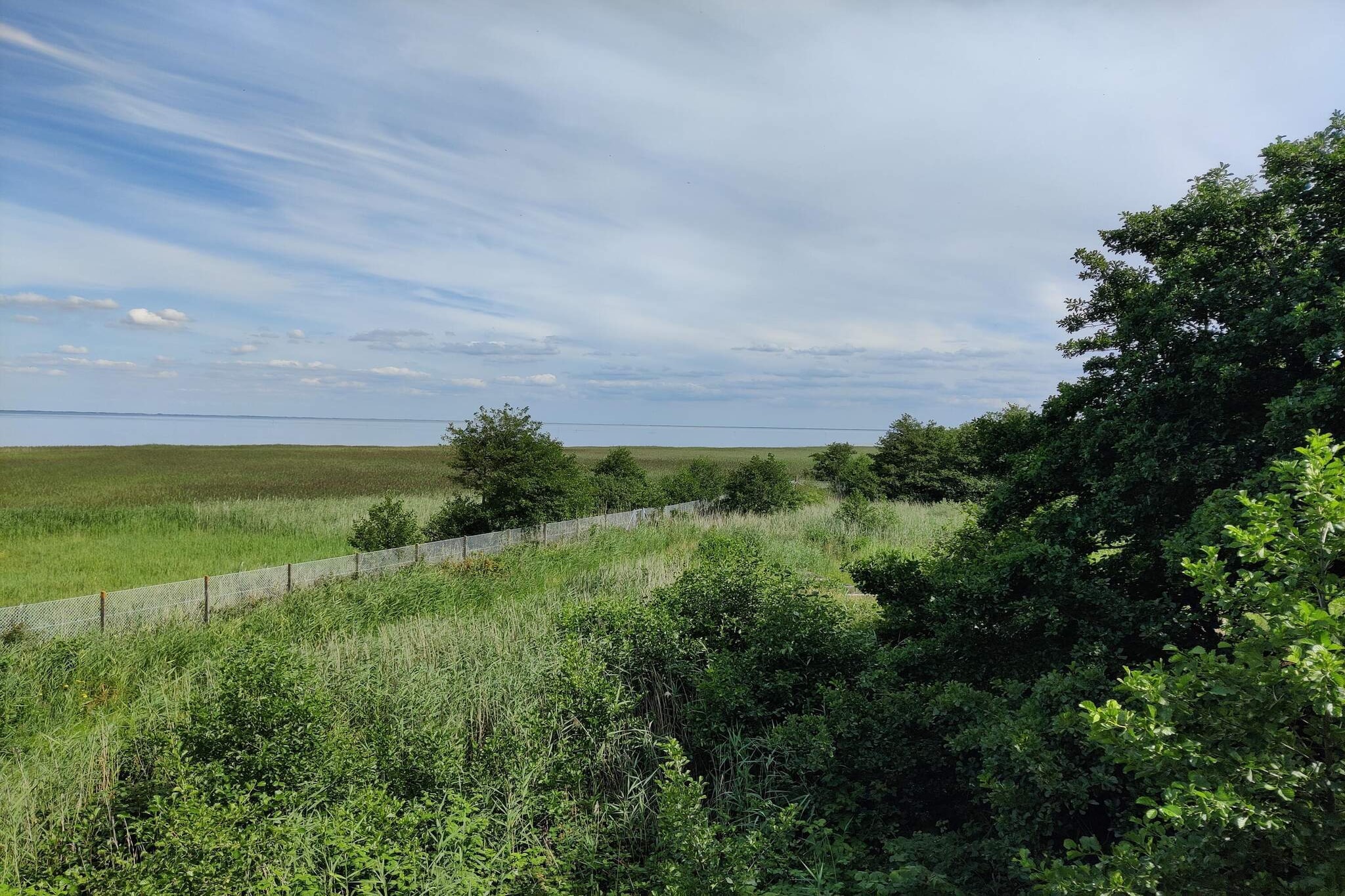 5 person holiday home in Fanø-Untagged