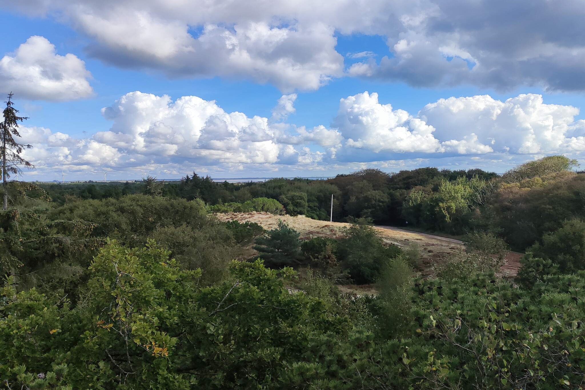 5 person holiday home in Fanø-Water view