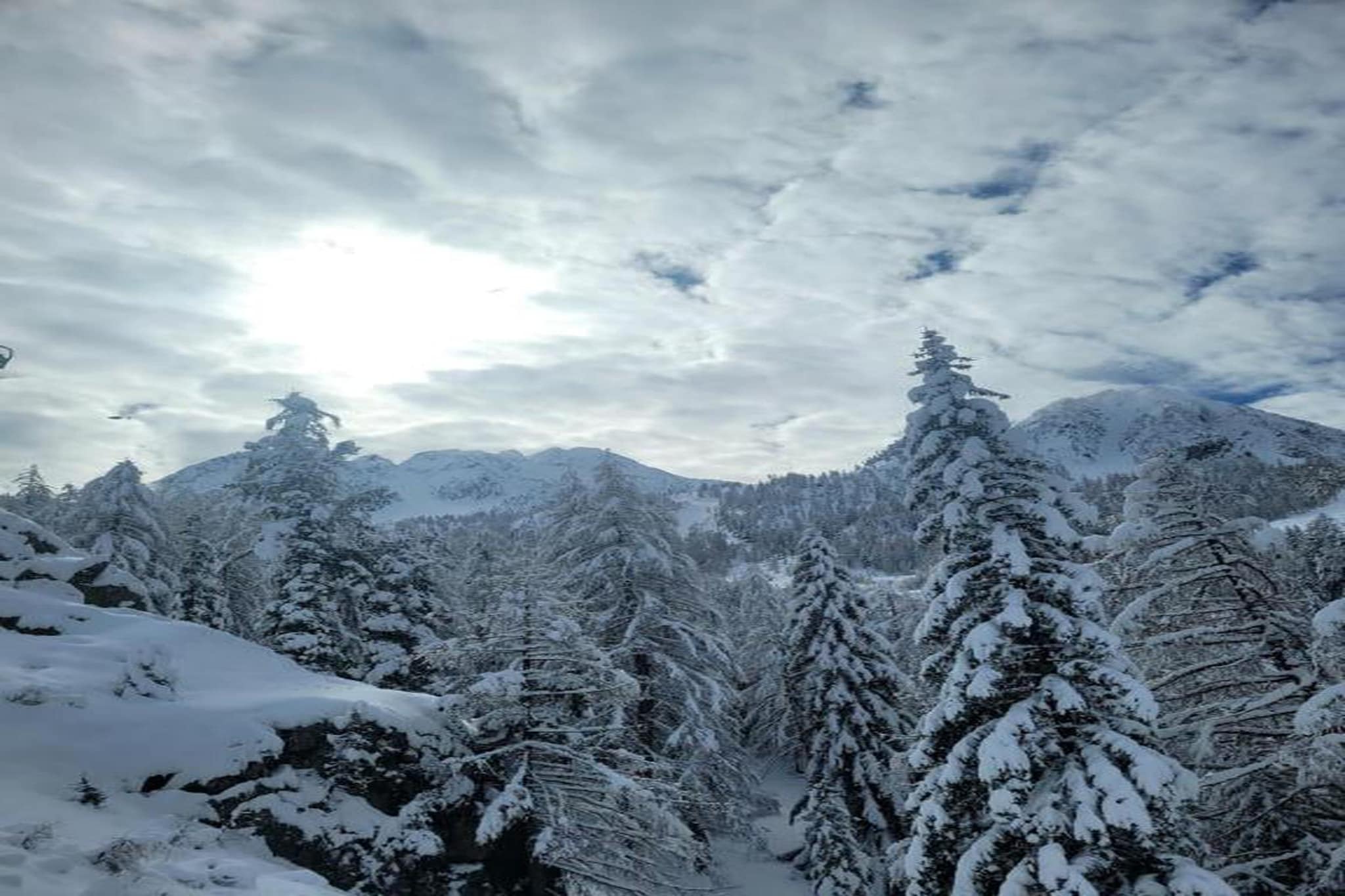 Les Terrasses d'Isola 1-Gebied winter 20km