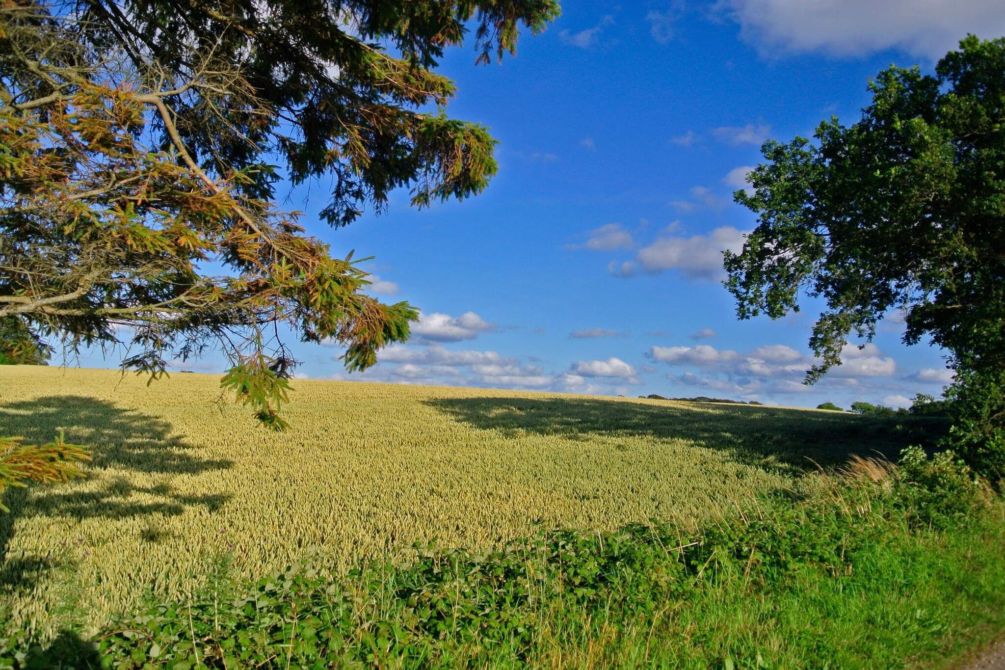 Panoramisch Huisje Toevluchtsoord-By Traum