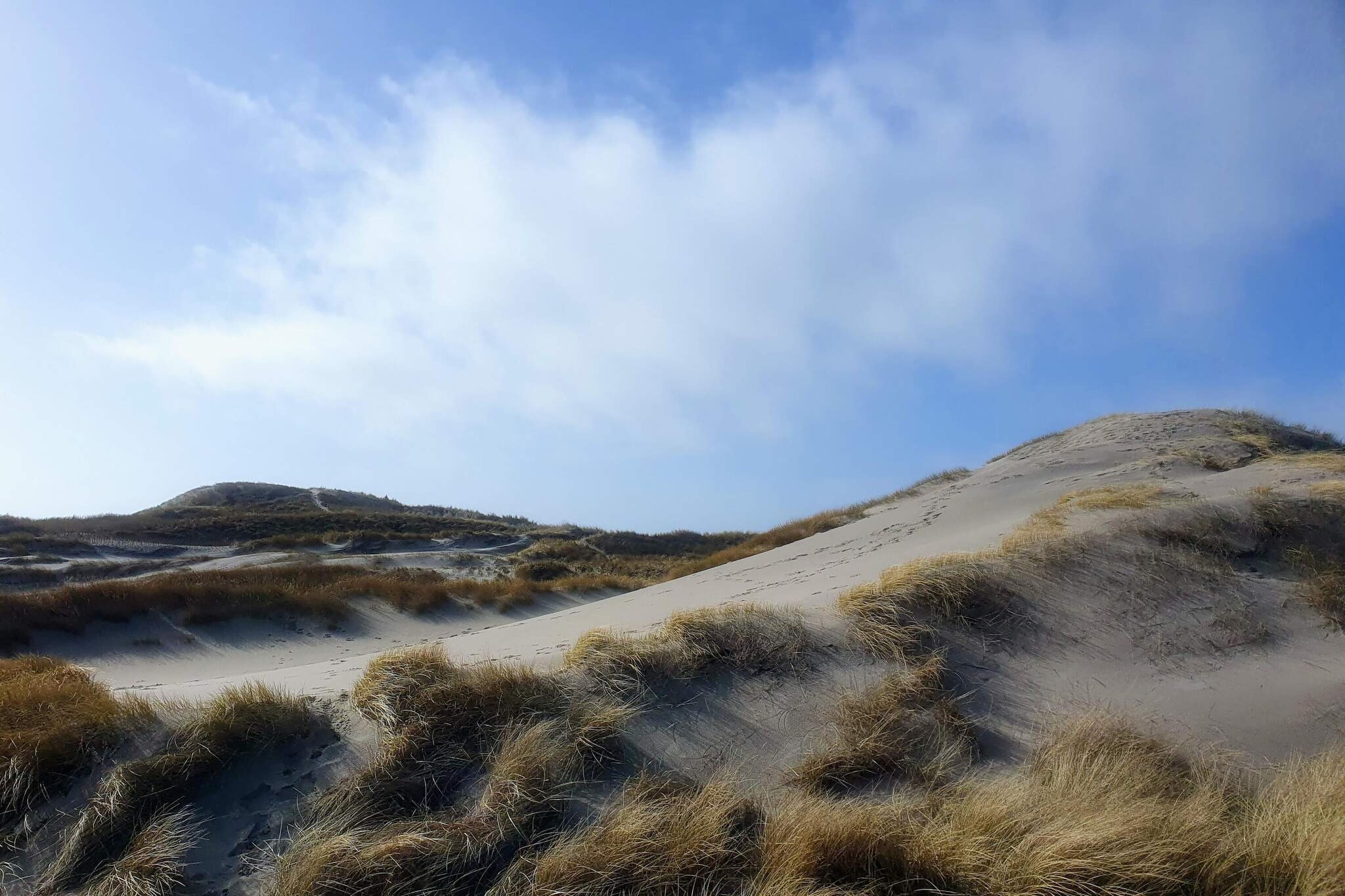 Secluded Dune Retreat-By Traum
